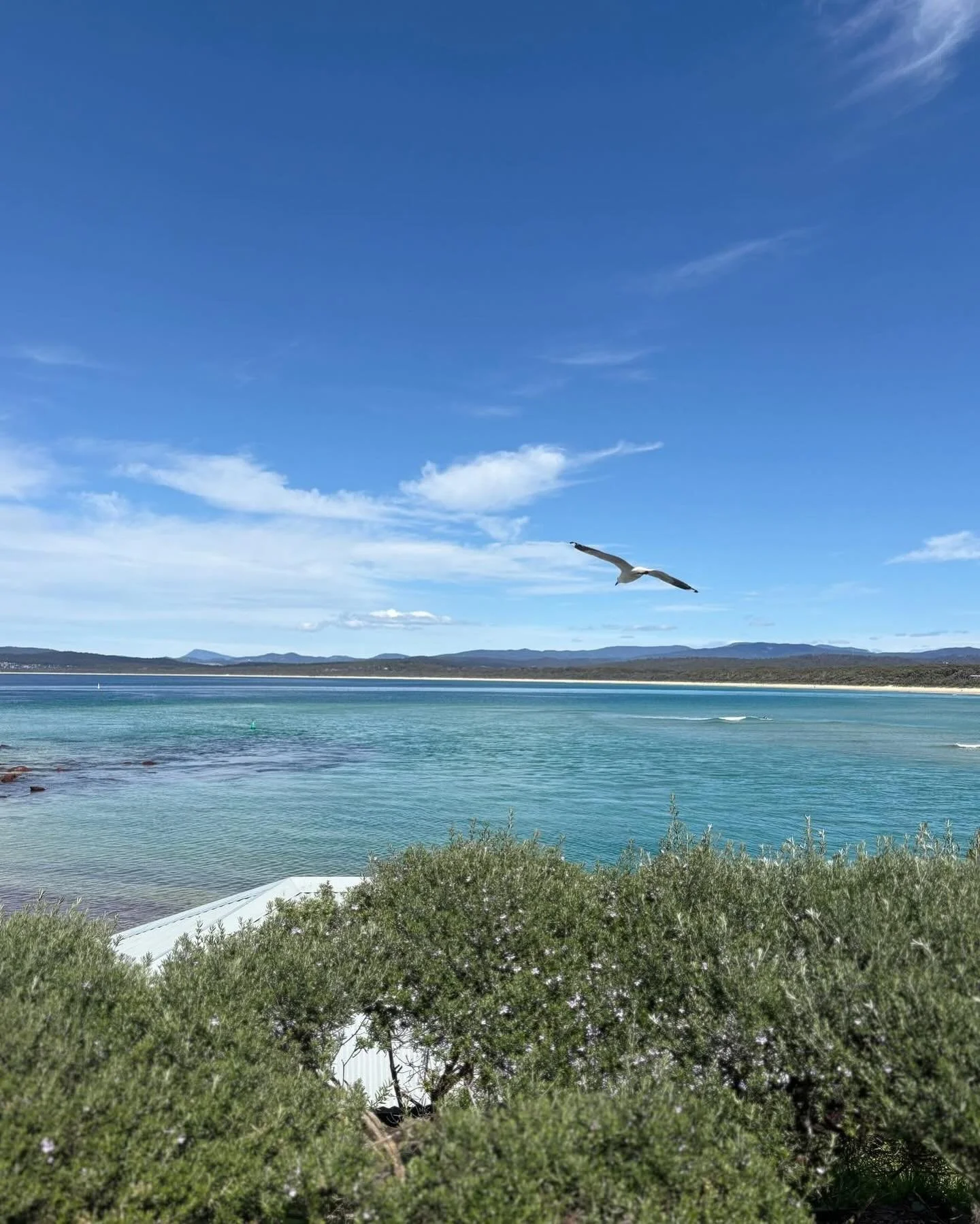 Hello Long Weekend! 🎉

Whatever you&rsquo;re up to - working hard, exploring local events, or kicking back &amp; relaxing, we hope it&rsquo;s a good one! 🙌

Just a reminder -  we&rsquo;re closed Monday for the public holiday, but back 9am Tuesday!