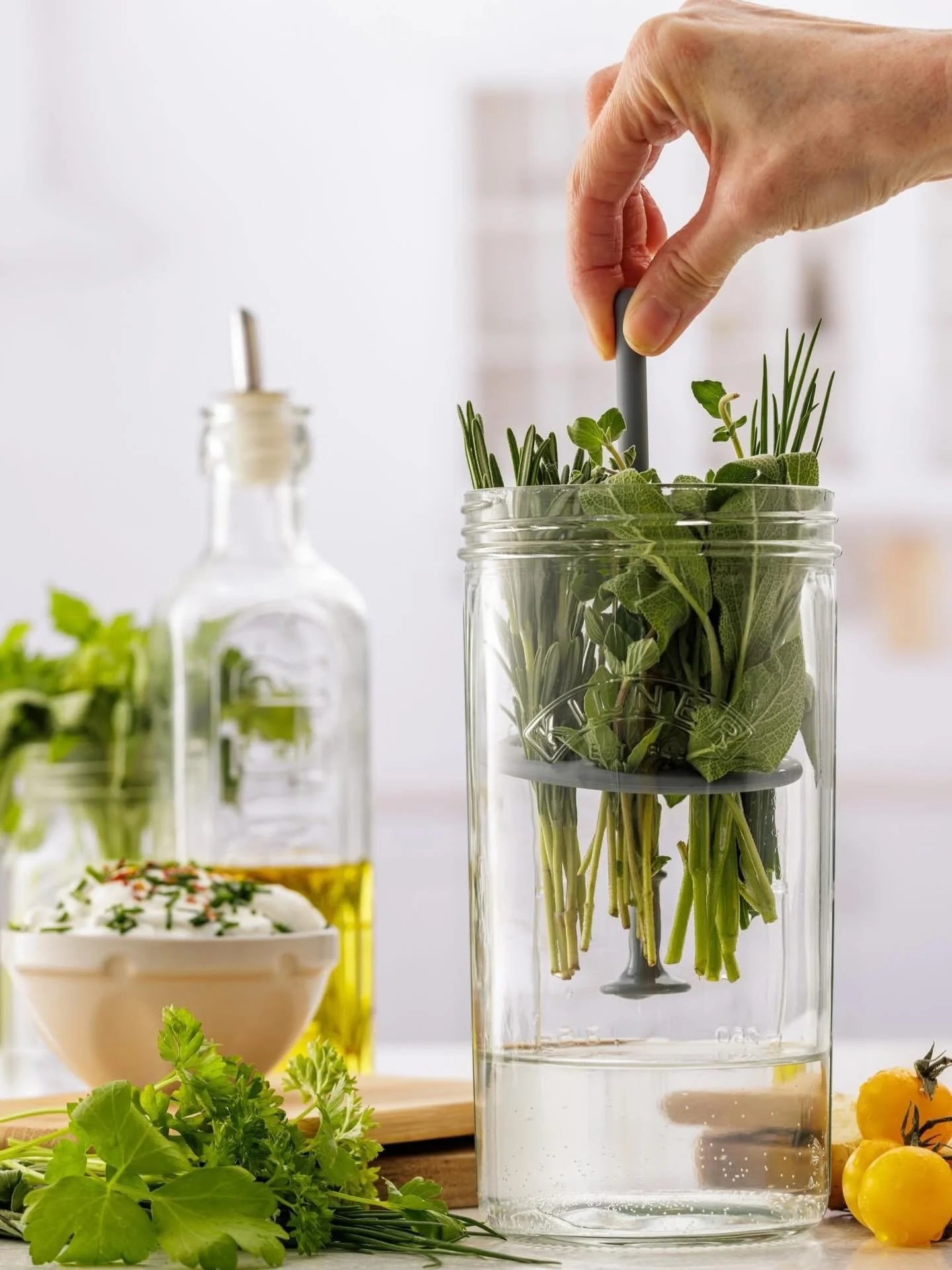 Hydrated stems, happy leaves, zero waste. Meet your herb hero 🌿

The Kilner Herb Keeper&rsquo;s clever design keeps stems hydrated &amp; leaves fresh longer. Just one of the products in our evergrowing Kilner Glass range! Kilner is trusted worldwide