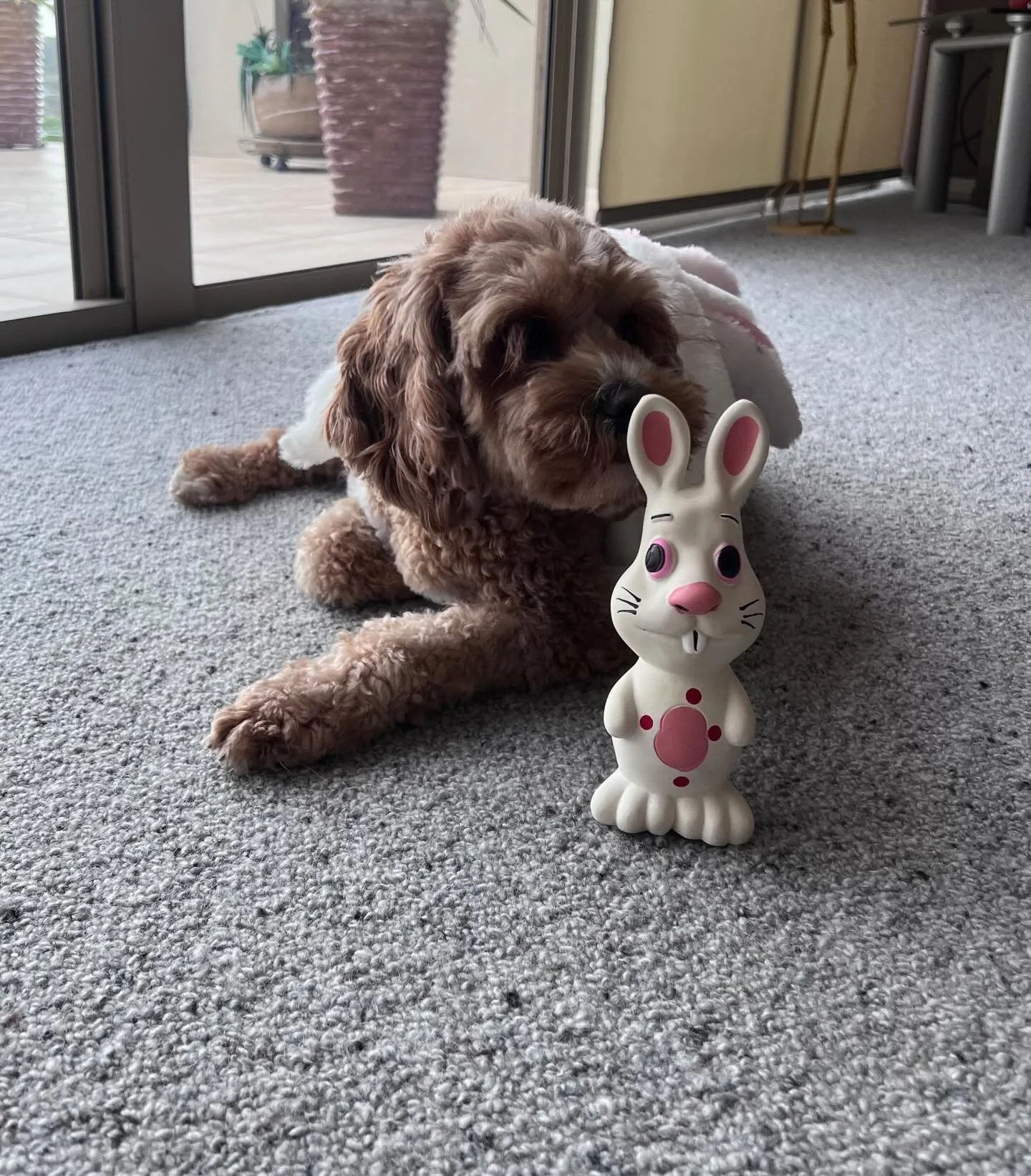 Happy Easter from all of us - including our pups! 🌸🐣🐶

Whether you&rsquo;re serving up Easter brunch, hosting family lunch, or prepping for a busy holiday service,  we&rsquo;ve hope it&rsquo;s filled with extra chocolate! 

Reminder - we are close