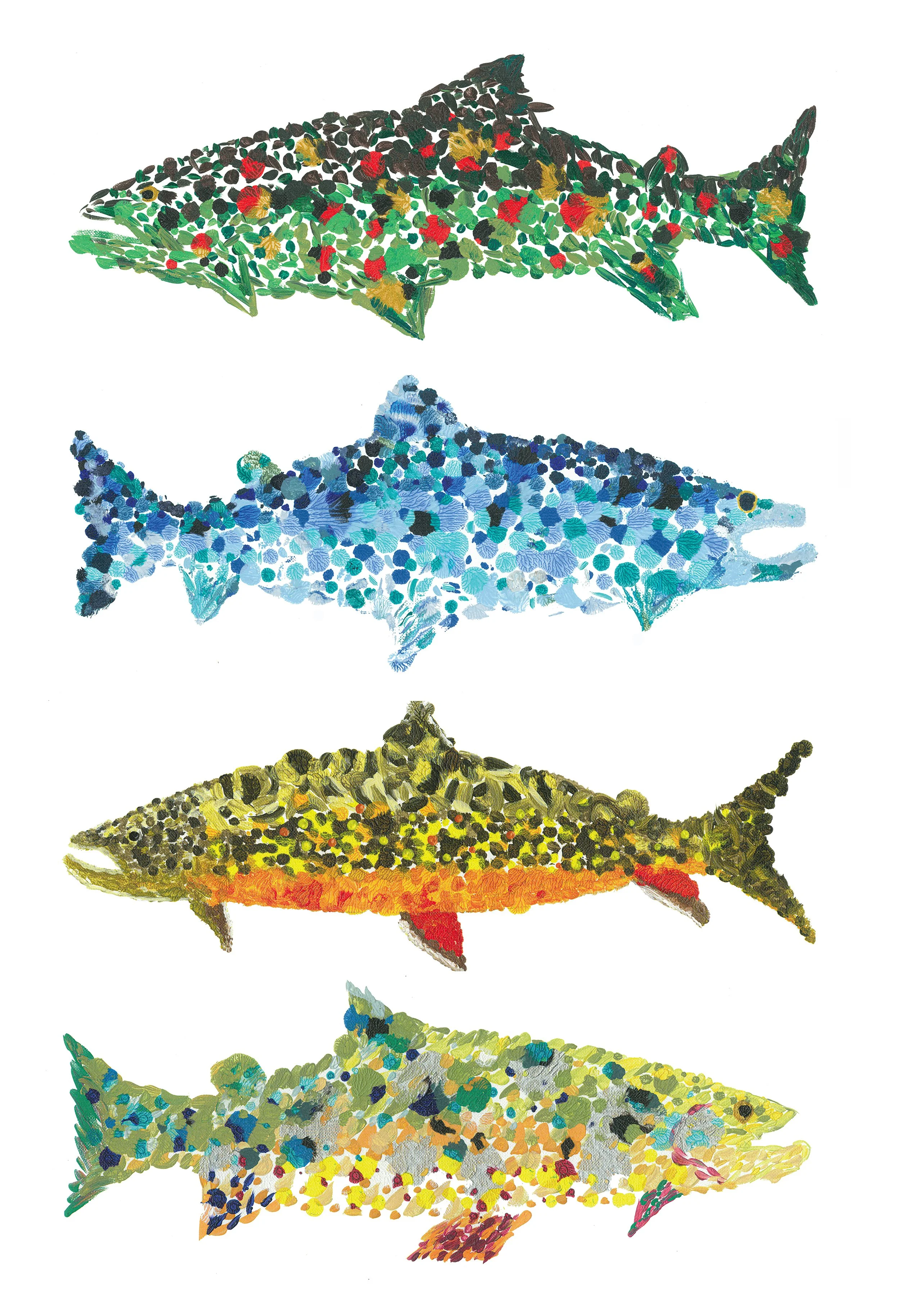 Fin-Neato Tetrad of Trout CORRECT .jpg