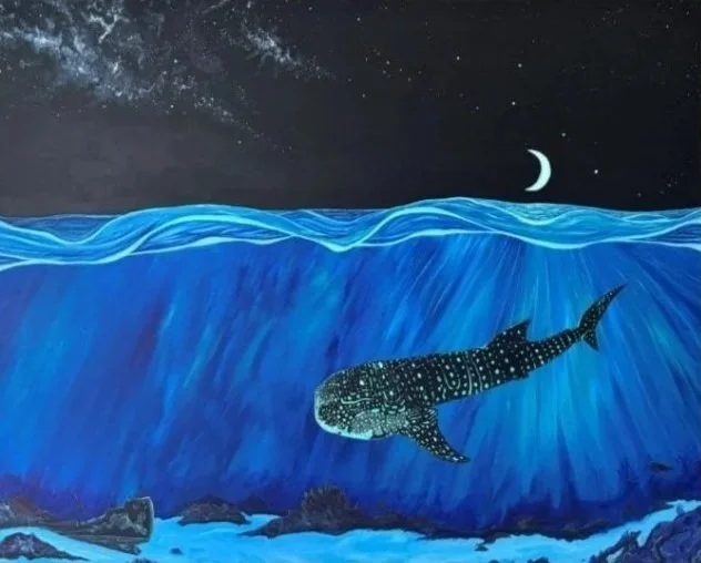 Whale Shark Dreams