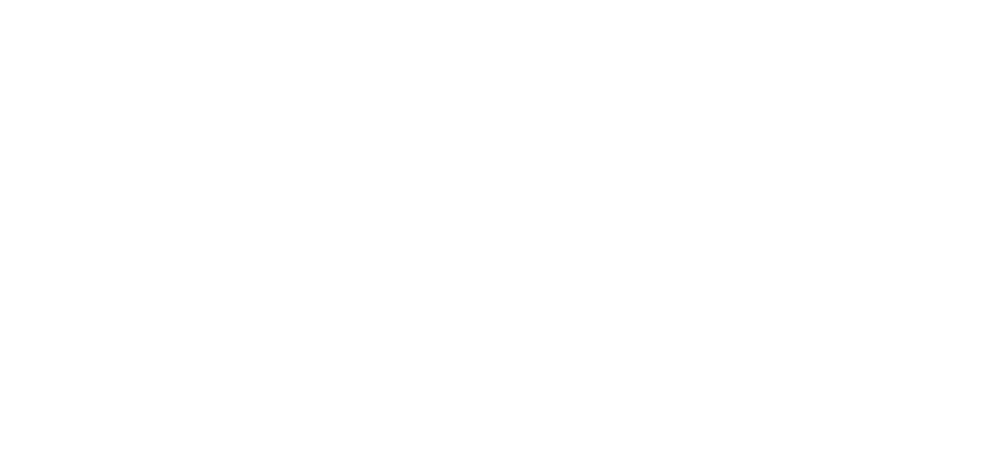 Double V Films