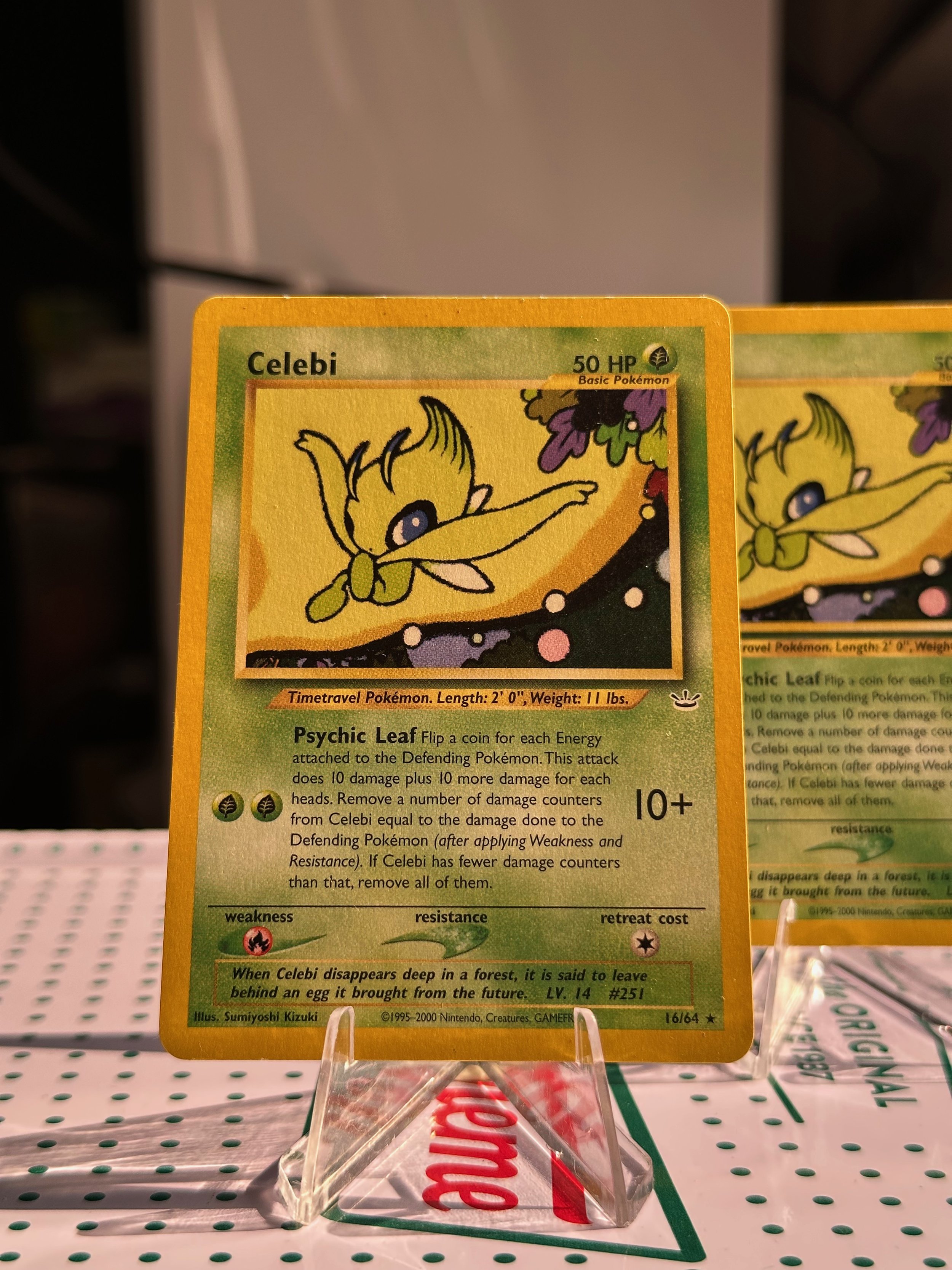 CELEBI 16 FRONT (2).jpeg