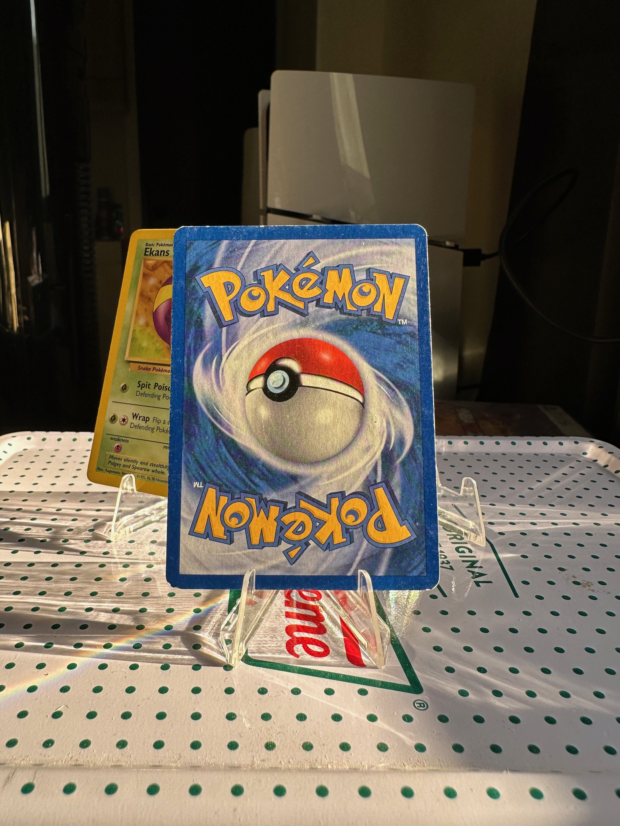 EKANS 46 BACL (2).jpeg