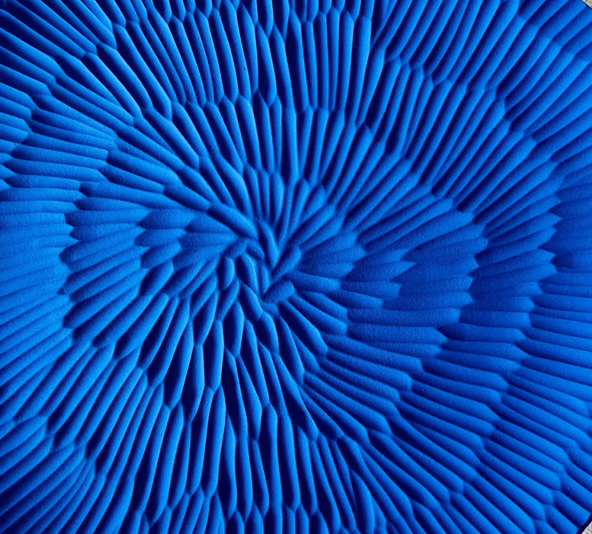 Close-up of blue mushrooms with ridged gills.