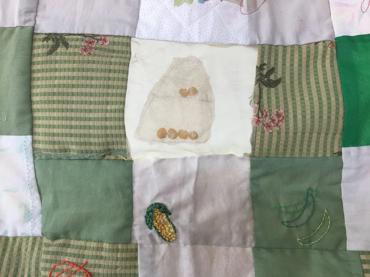   Seed Quilt 2:  Dollarama bags, scrap fabric, seeds, embroidery.  Detail  2019 