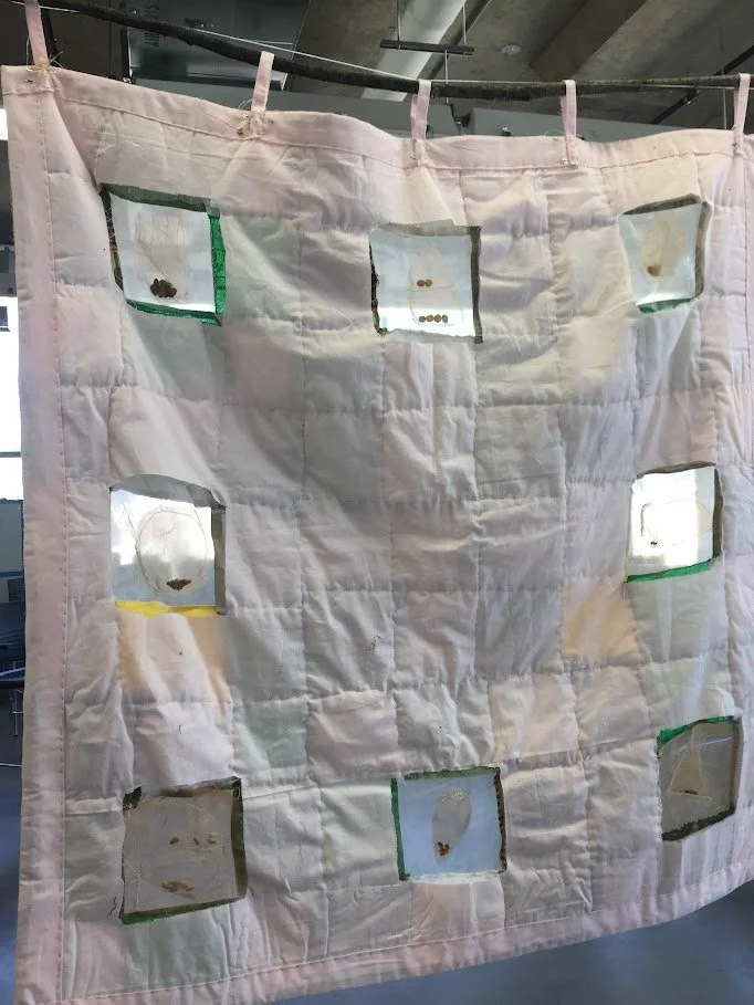  Back of  Seed Quilt 2   2019 