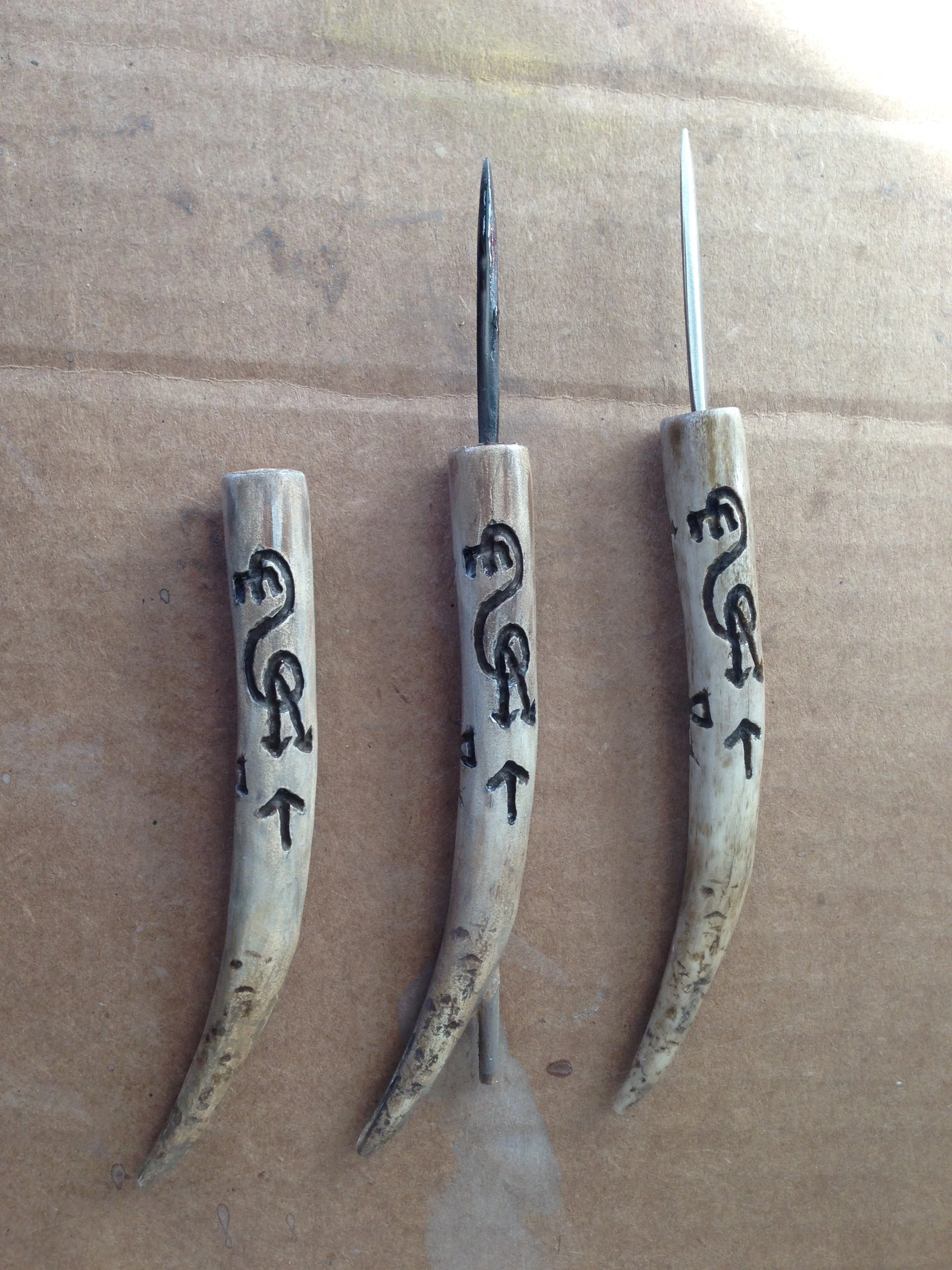 Photo 2017-01-23, 2 35 07 PM.jpg