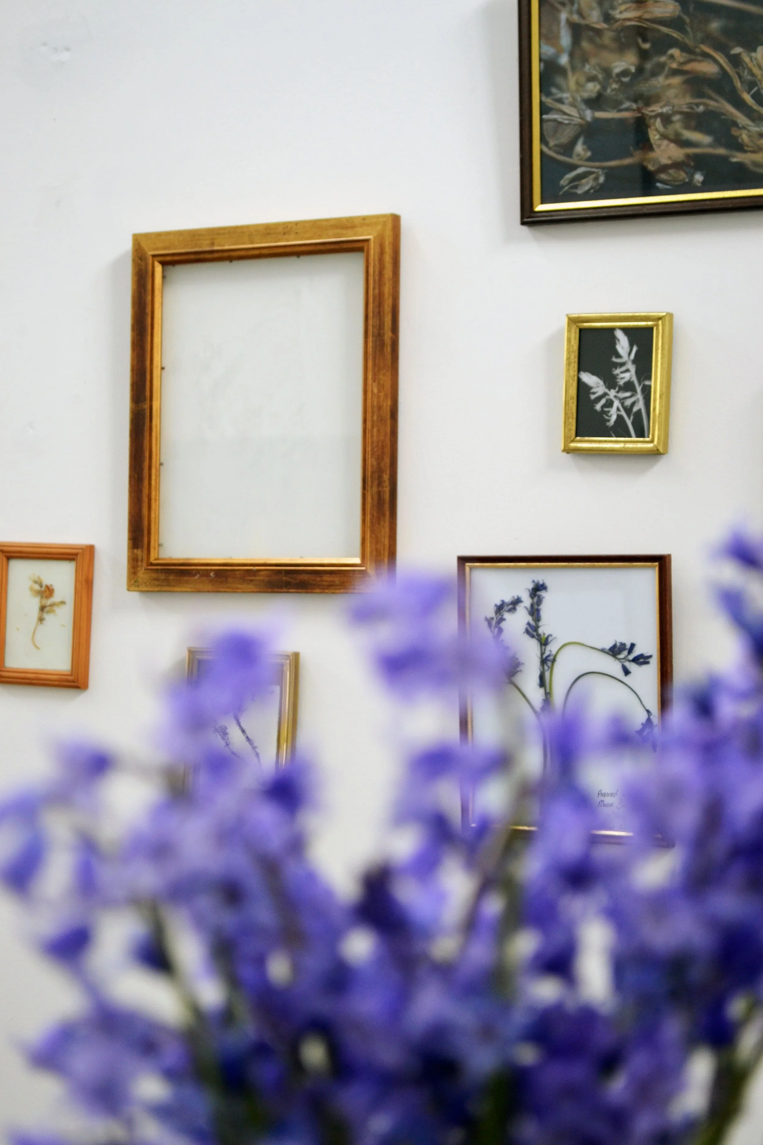 A white wall decorated with empty and framed botanical art pieces in various sizes and colors, with blurred purple flowers in the foreground.