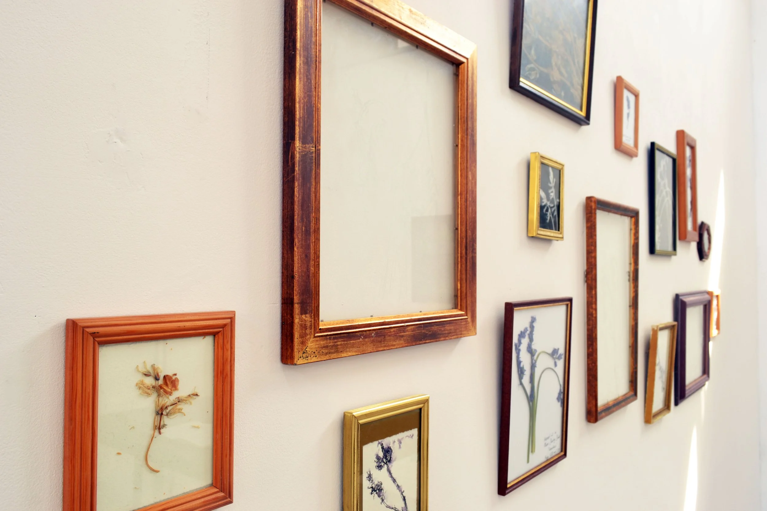 Wall decorated with multiple picture frames of different sizes, shapes, and colors, some containing botanical illustrations, others empty or with artwork.