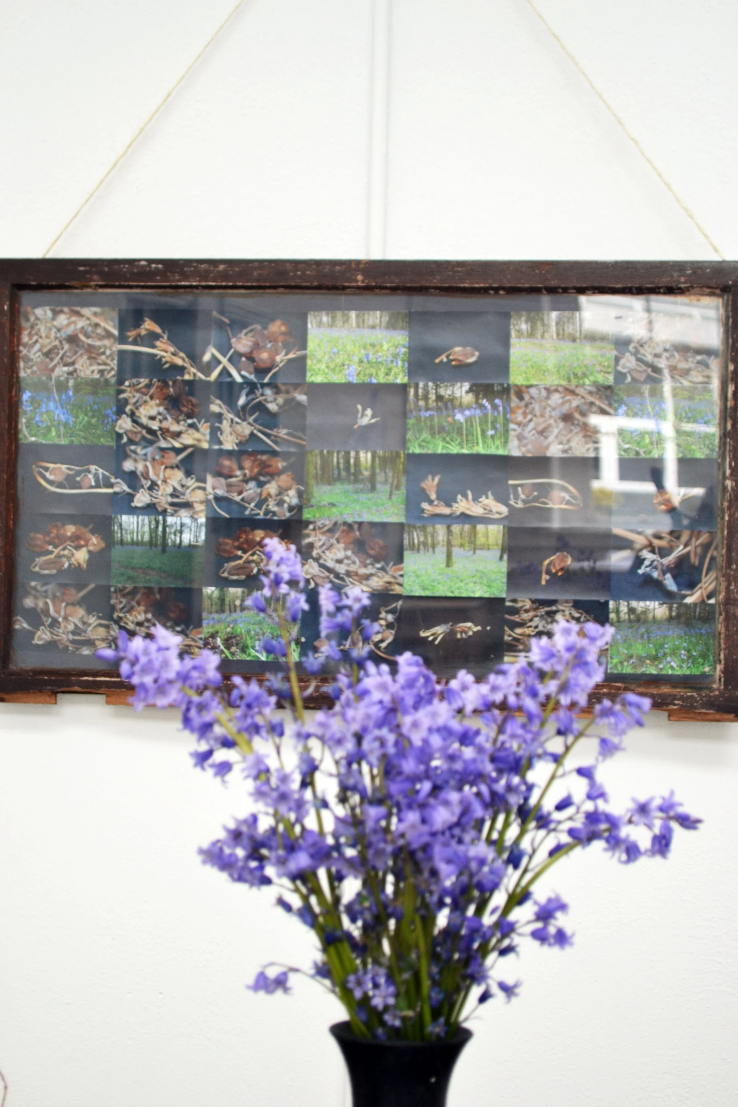 A framed collage of photographs featuring woodland scenes, small animals, and nature, with a purple flower arrangement in front.