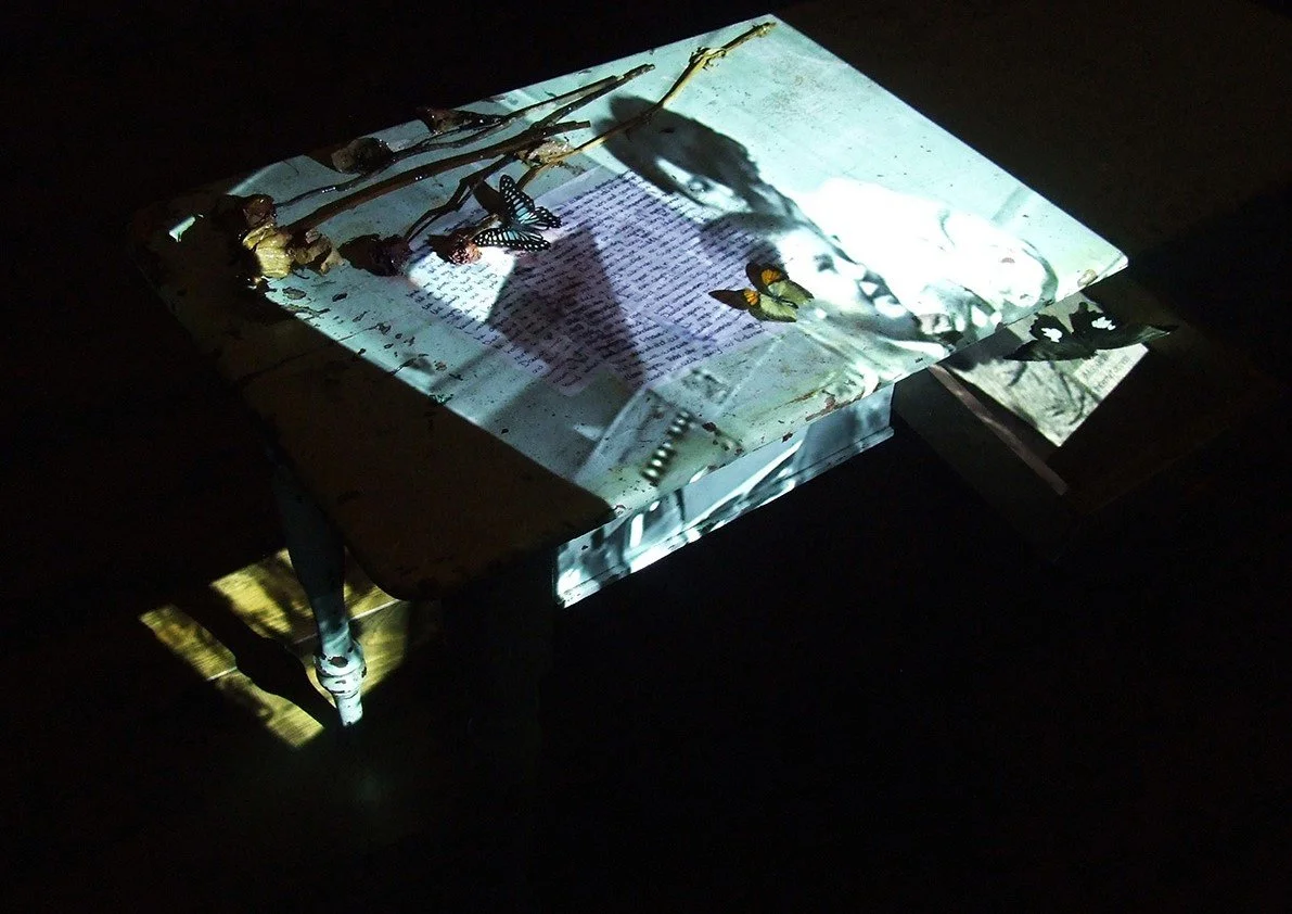 A table with a projected image of a woman’s face, surrounded by flowers and butterflies casting shadows on the surface.