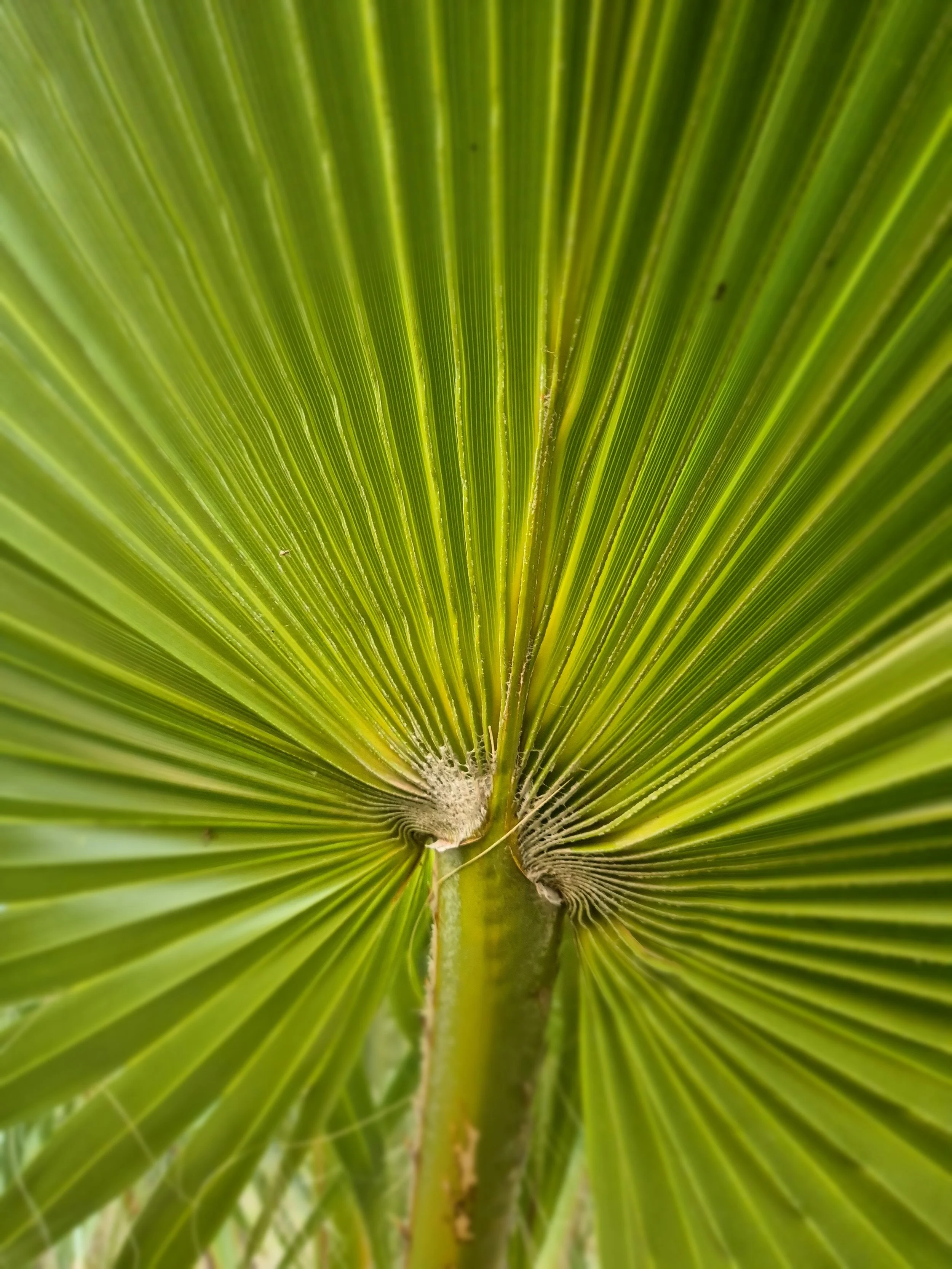 20250106_203210.jpg