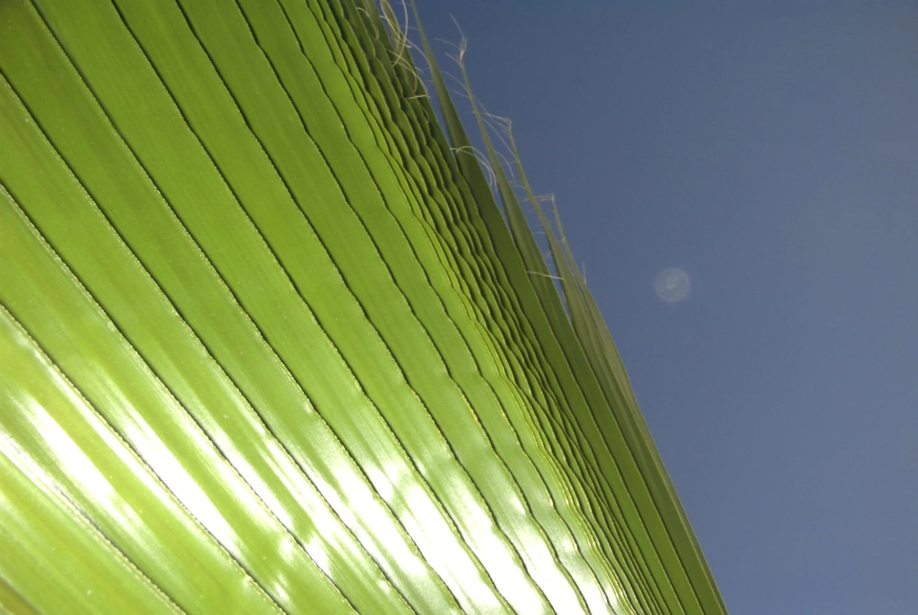 turf and ag shots 020.jpg