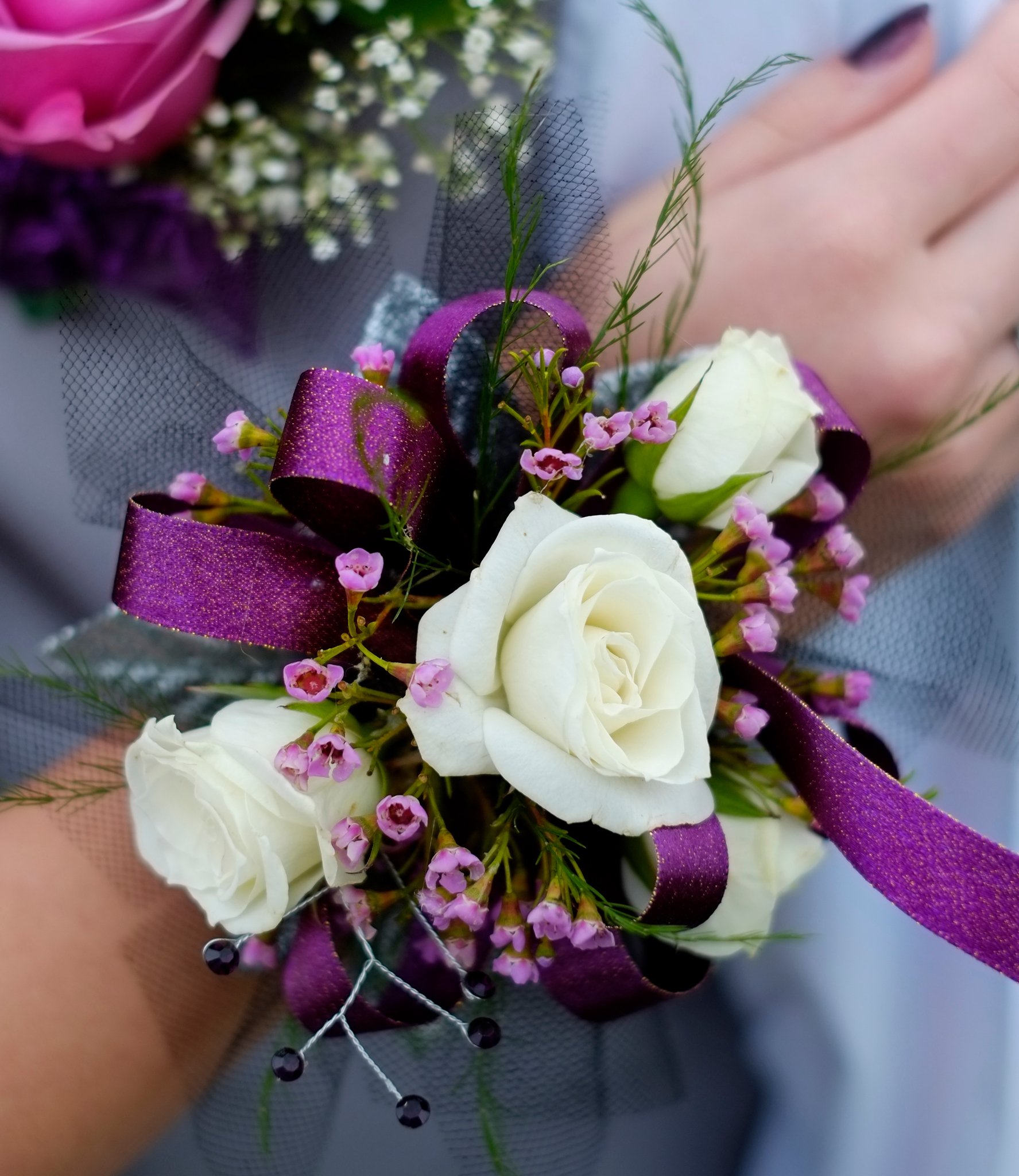 AdobeStock_114238030.jpg