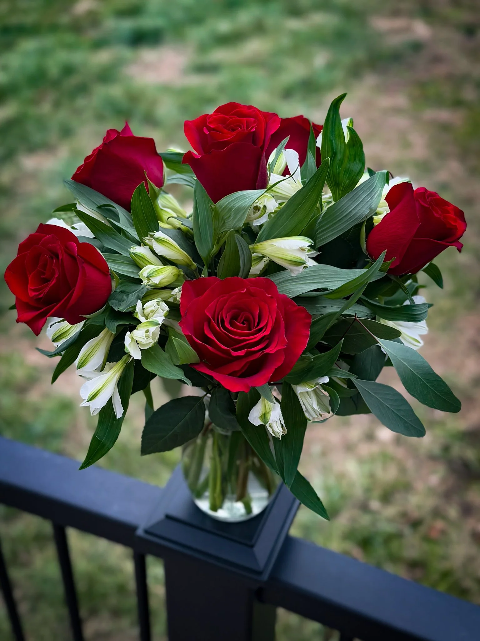 Half Dozen Red Roses with Alstroemeria flowers and greenery in a vase Springfield MO Valentine's Day