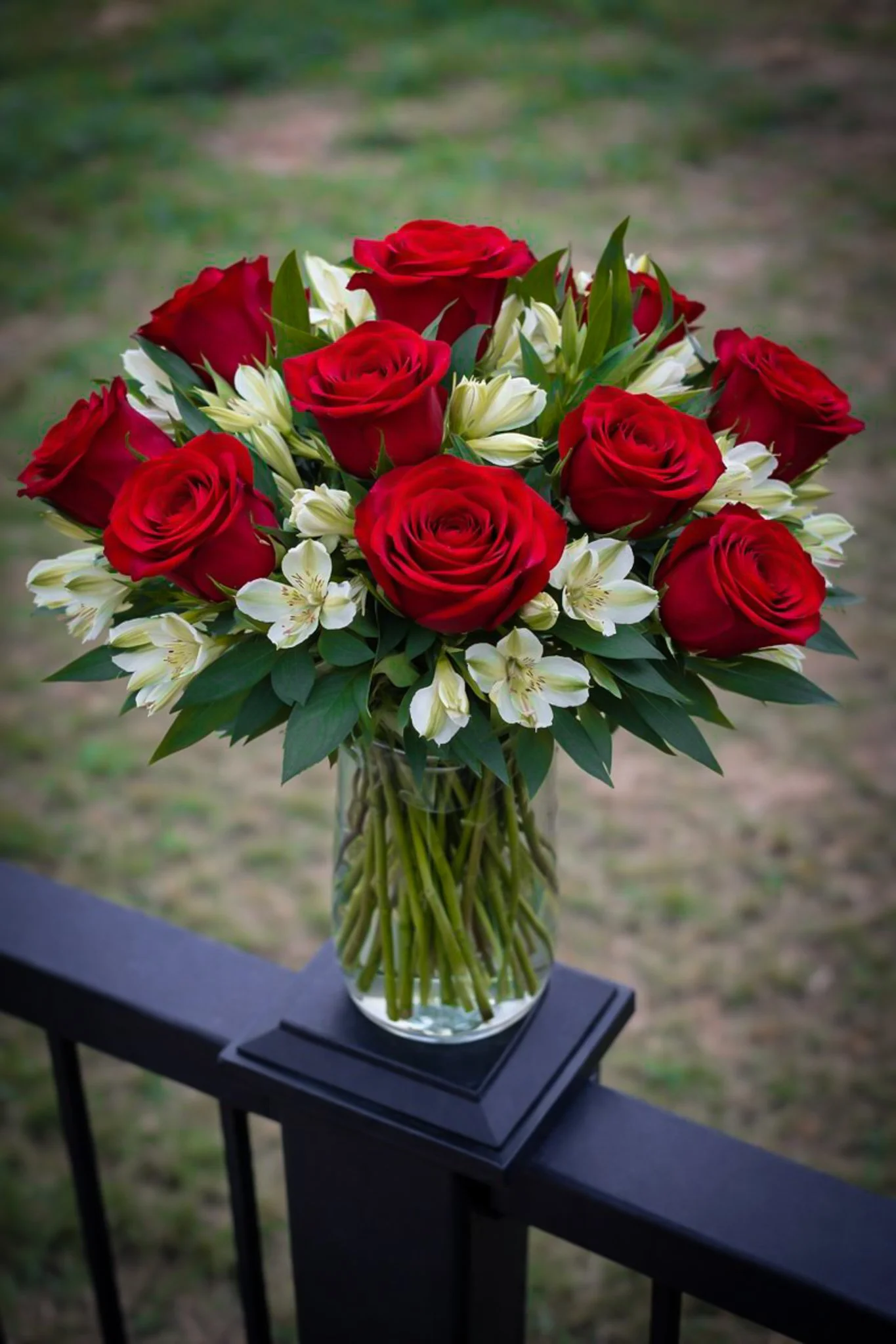 One Dozen Roses