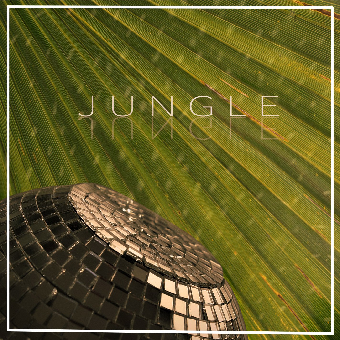 Recreated Album Cover - Jungle