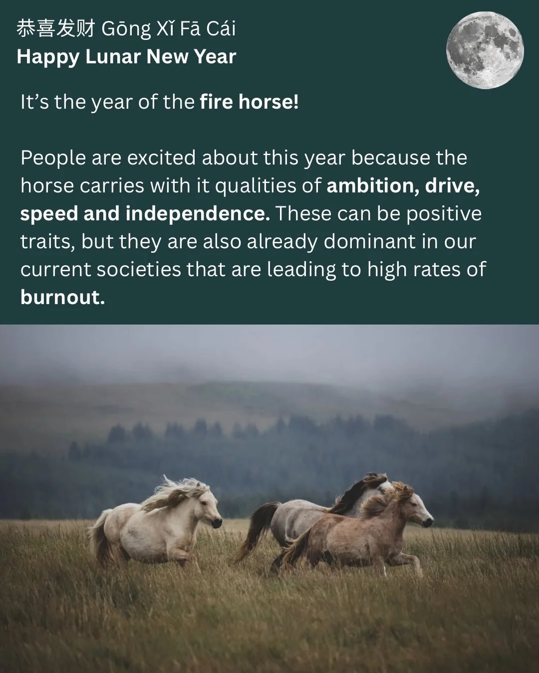 恭喜发财 Gōng Xǐ Fā C&aacute;i! 

Happy Lunar New Year to everyone who celebrates! 

I&rsquo;ve been sitting with the horse the last couple of weeks and thinking about what it means for us. I have always loved horses since I was a child, feeling a depth 