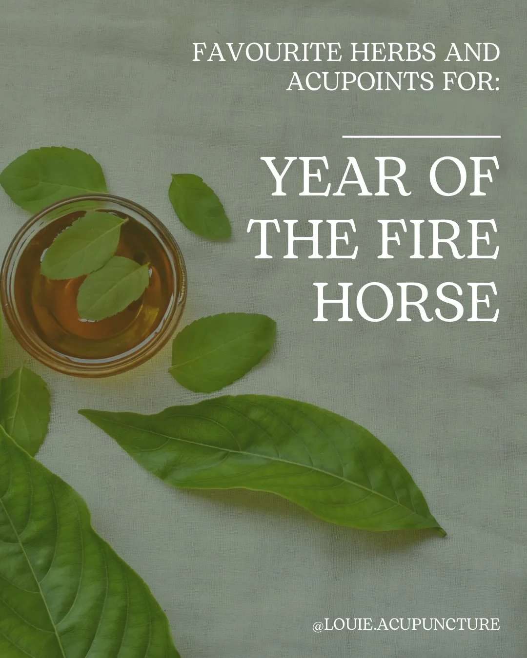 Some herbal formula and acupoints I&rsquo;ve been reaching for as we move into the year of the Fire Horse. 

Which one are you feeling like you need? 

When things get moving, what is stuck can tend to dig its heels in. This is when we need to be pat