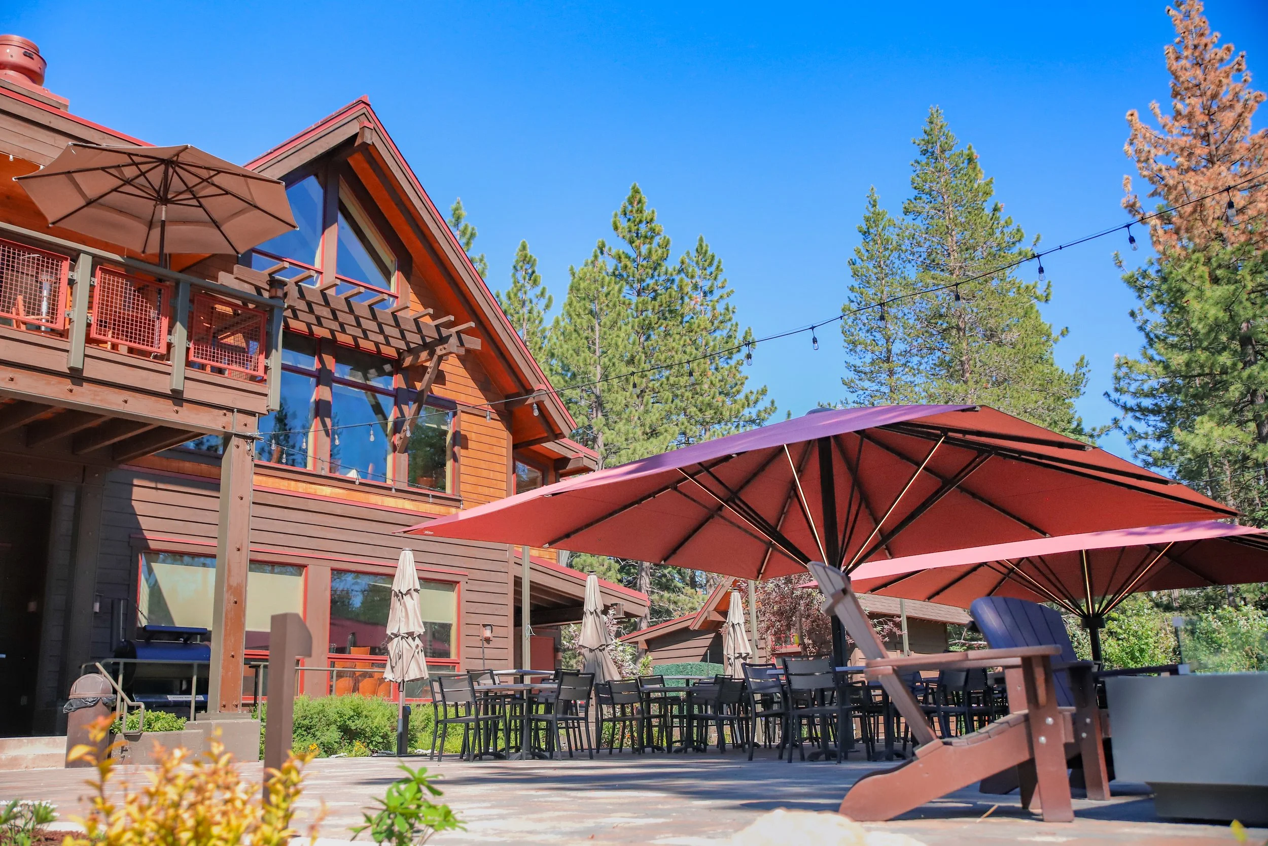 Copy of IMG_8432-2.jpg