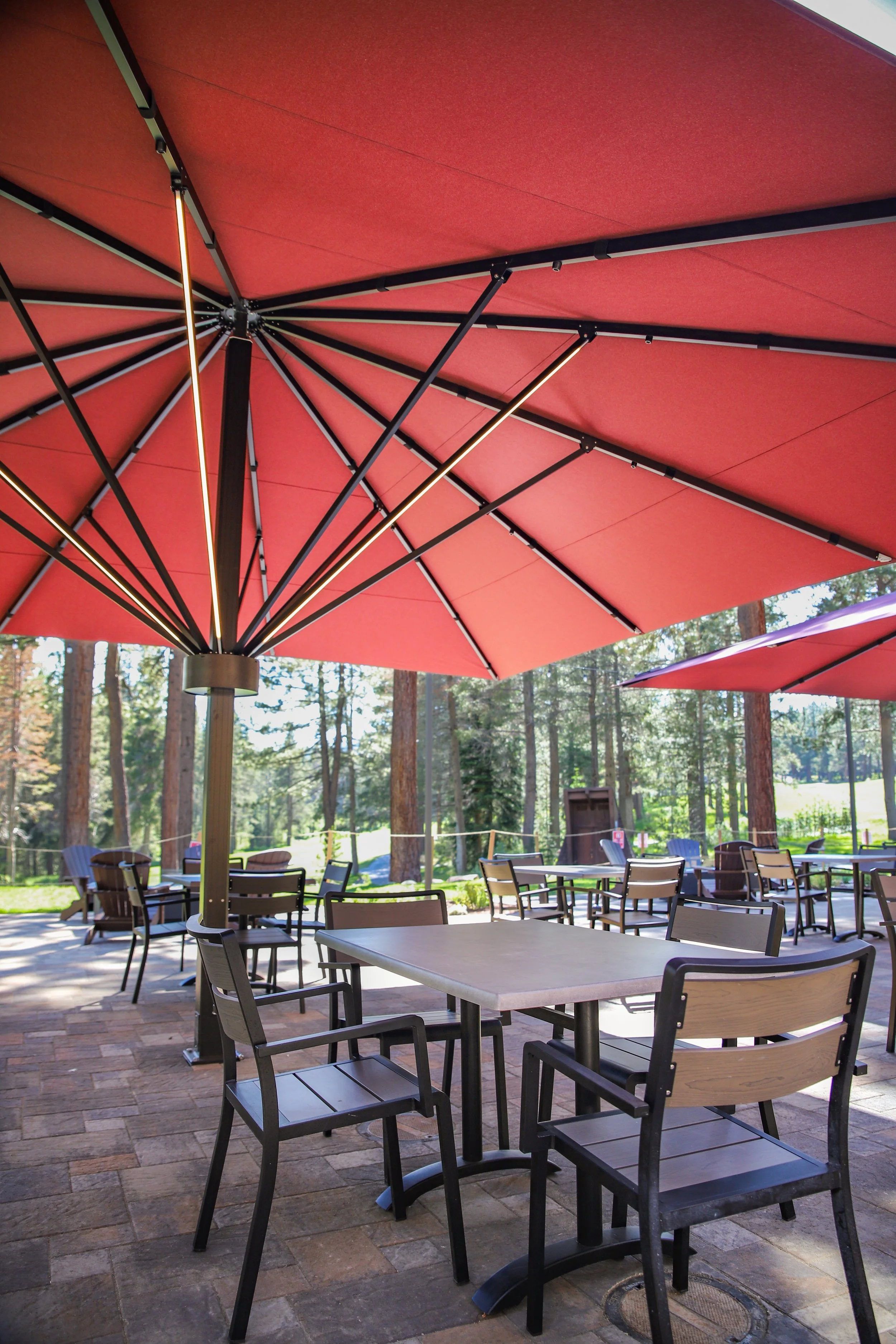 Copy of IMG_8450.jpg