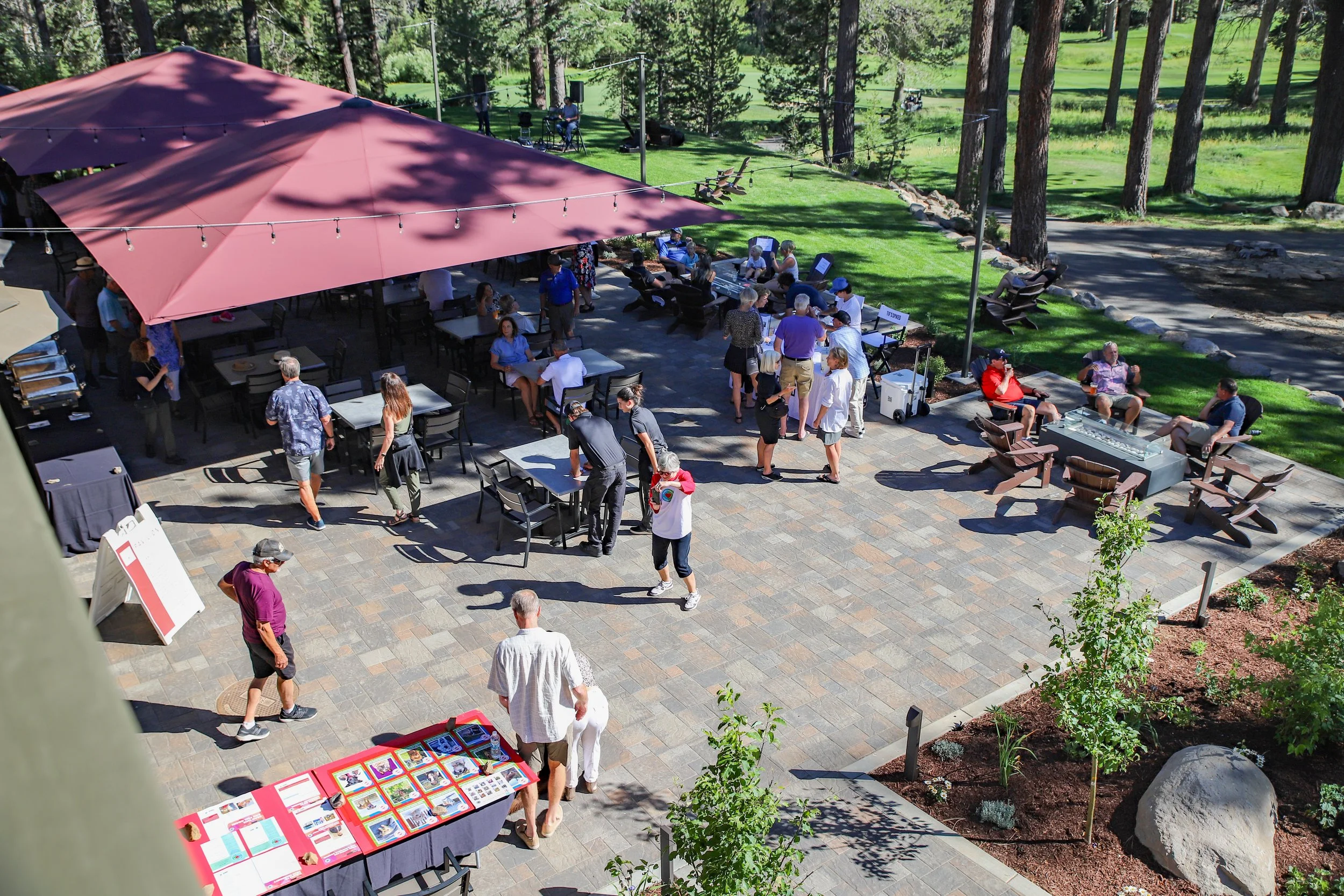 Copy of IMG_8541.jpg