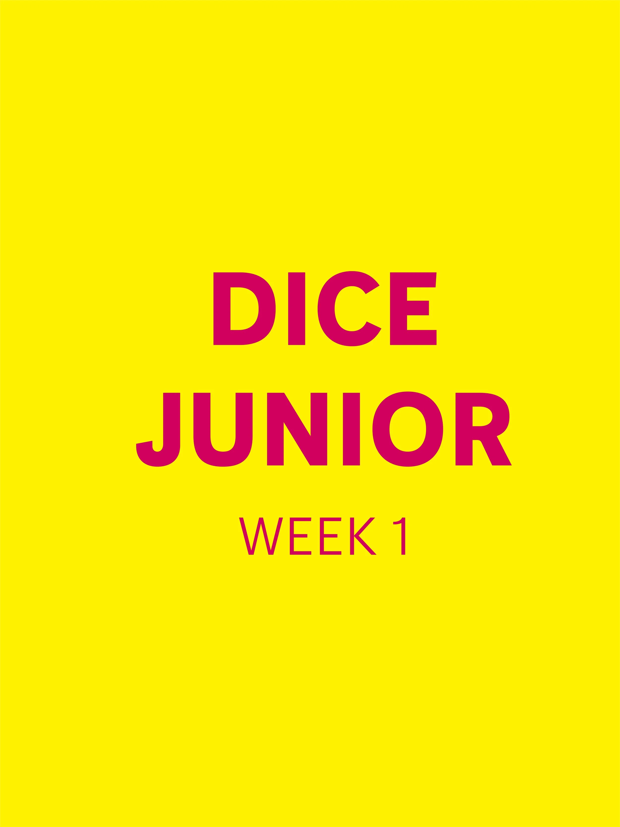 DICE Junior - Foundation in Fashion & Visual Design