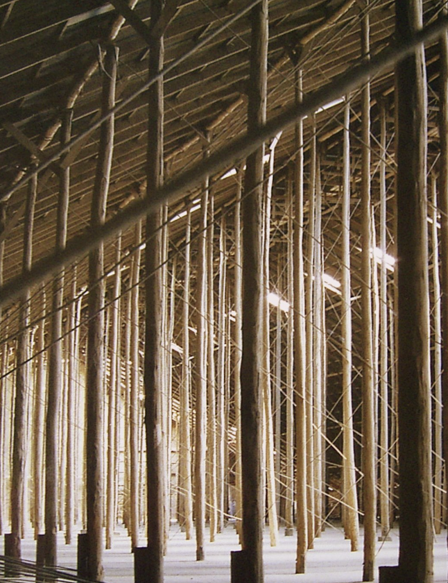 Screen Shot 2025-02-02 at 7.14.58 pm.png