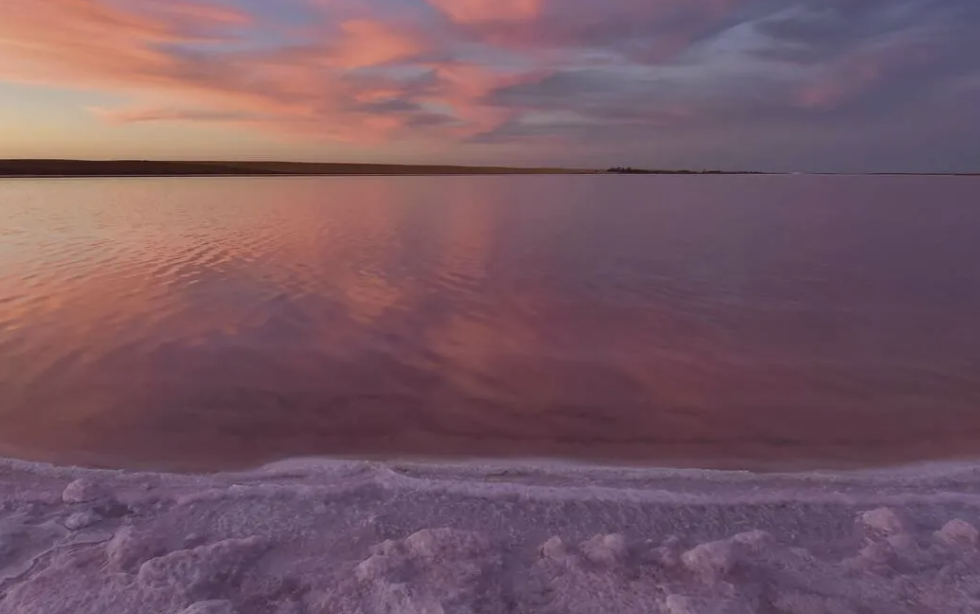 Screen Shot 2025-02-02 at 7.31.04 pm.png