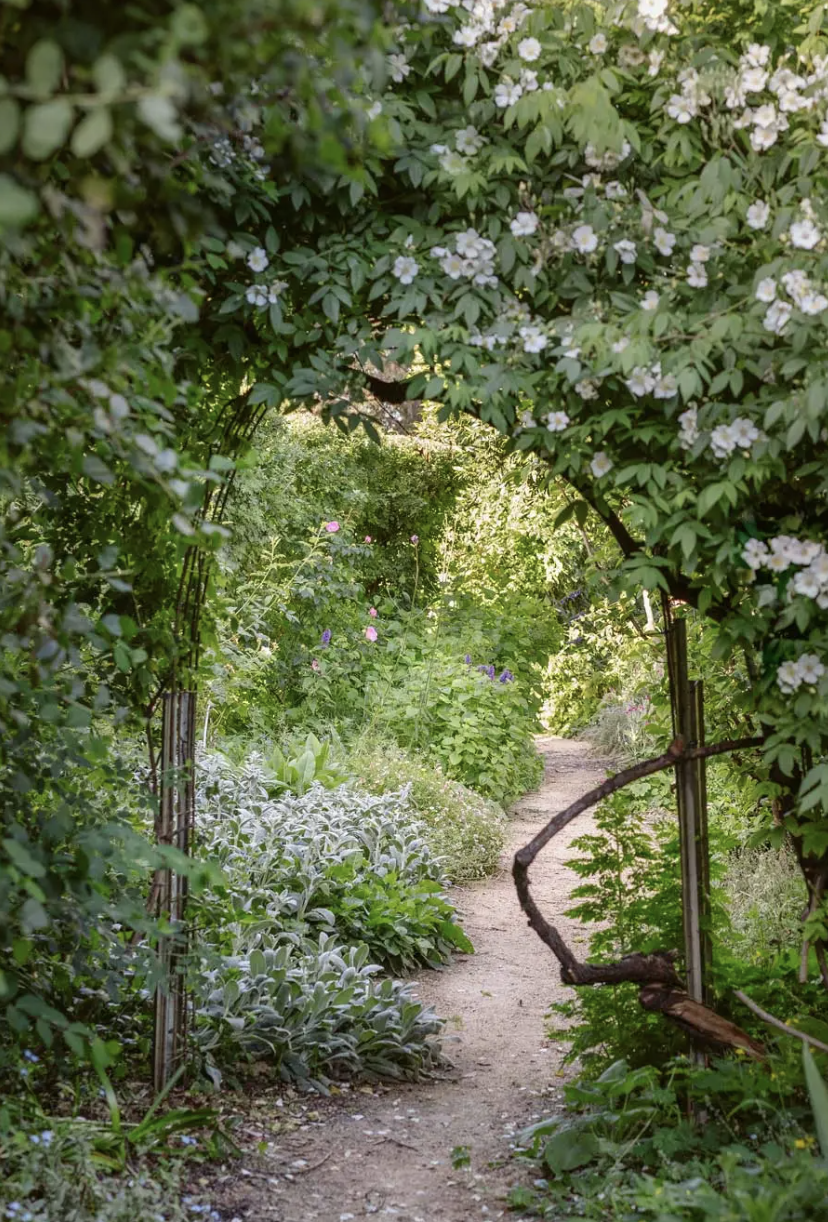 Screen Shot 2025-01-29 at 12.13.02 pm.png