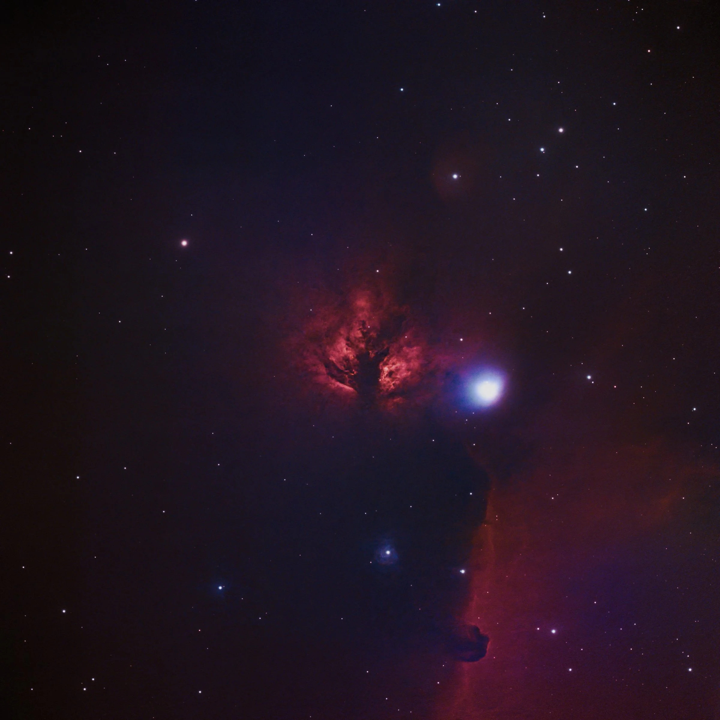 Flame Nebula (NGC 2024) 