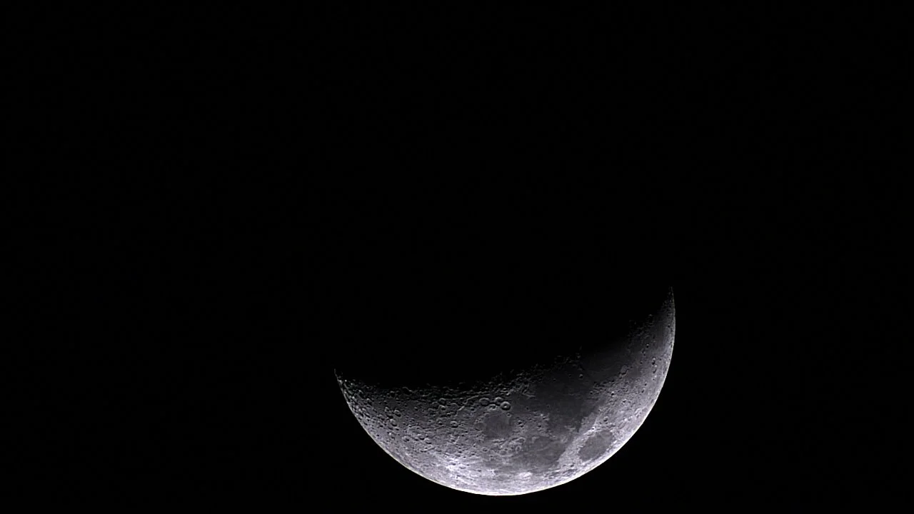 The beginning of My journey as a Newbie