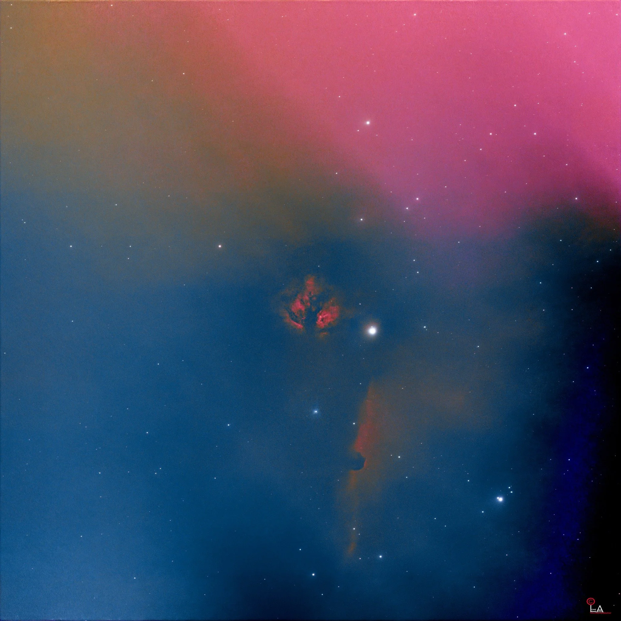 646850111_3357112051116603_5882835483969611888_n.jpg