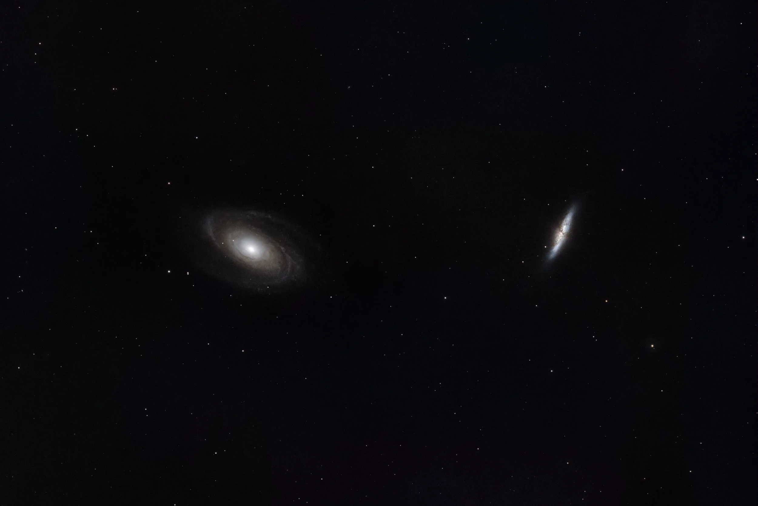Bode’s Galaxy (M81)
