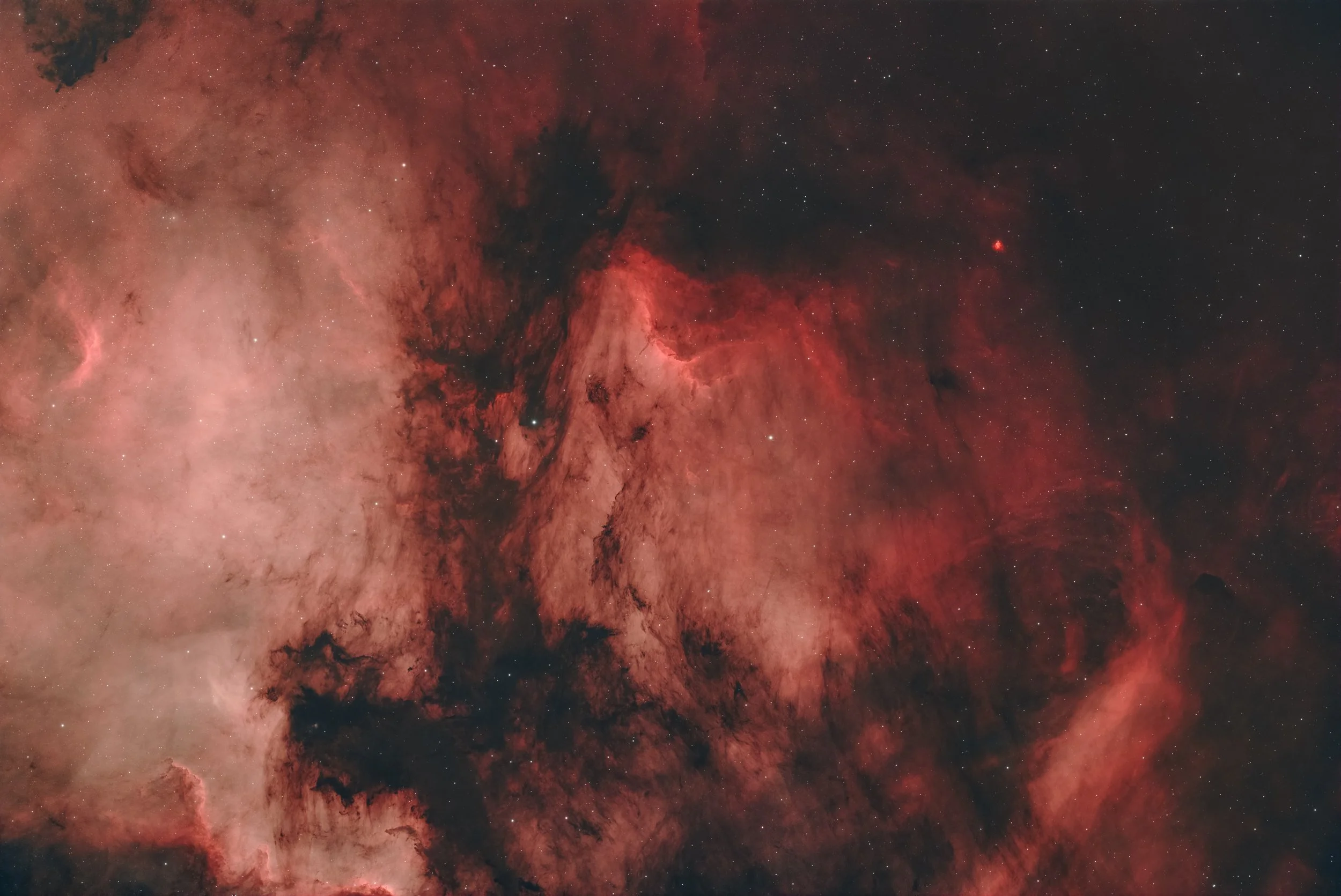 Pelican Nebula (IC 5070)