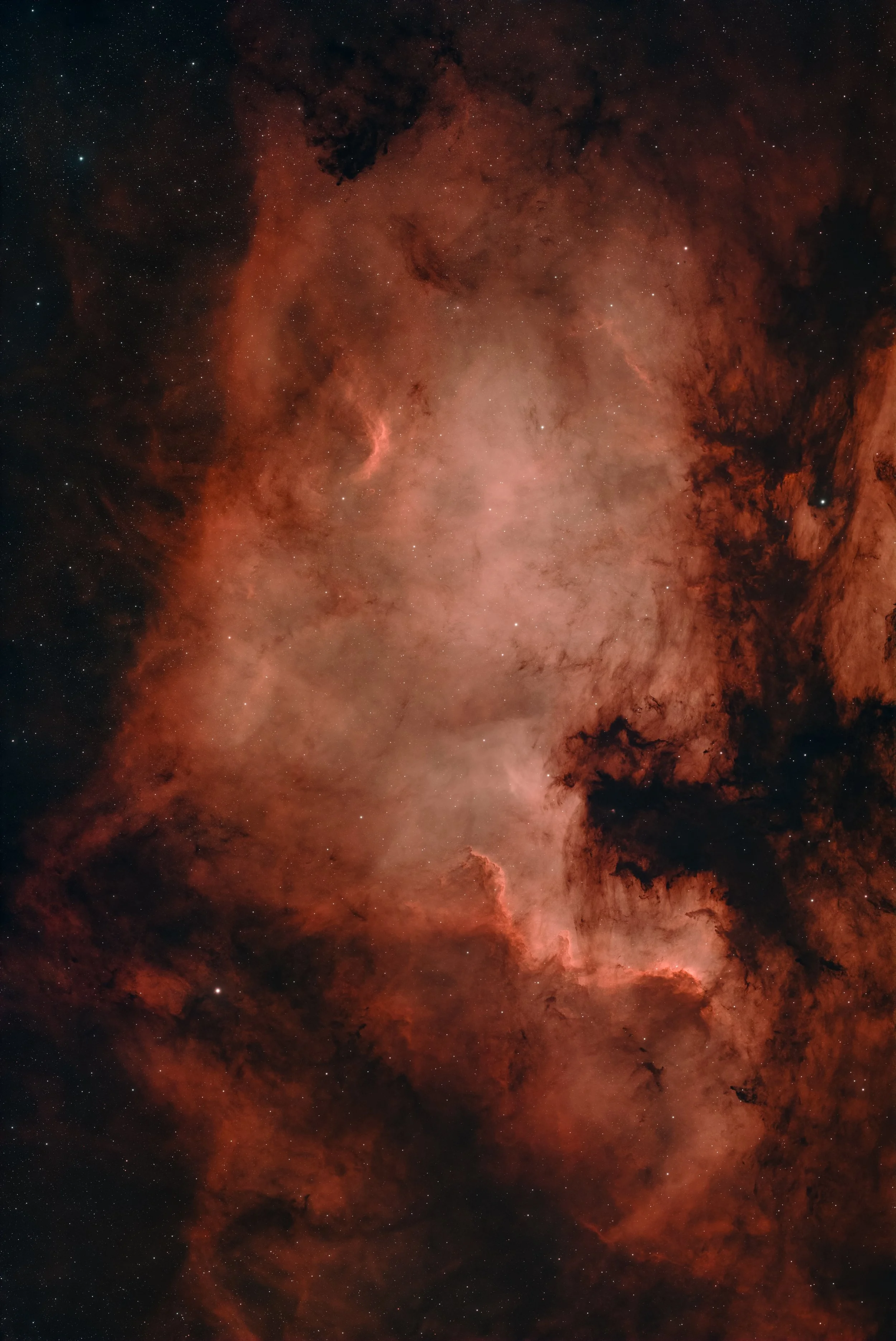 North America Nebula (NGC 7000)