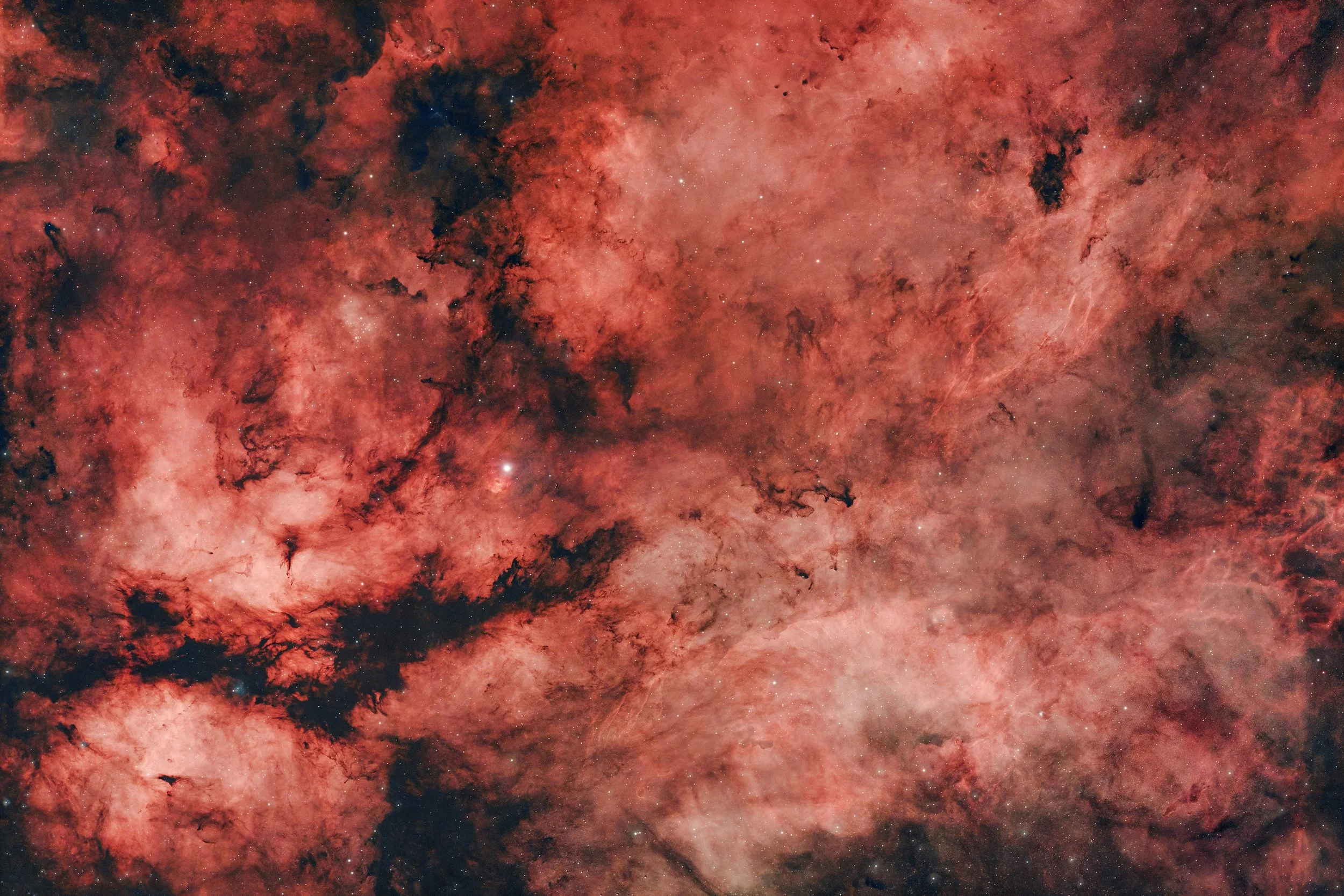 Gamma Cygni Nebula / Sadr Region / Butterfly Nebula: (IC 1310)