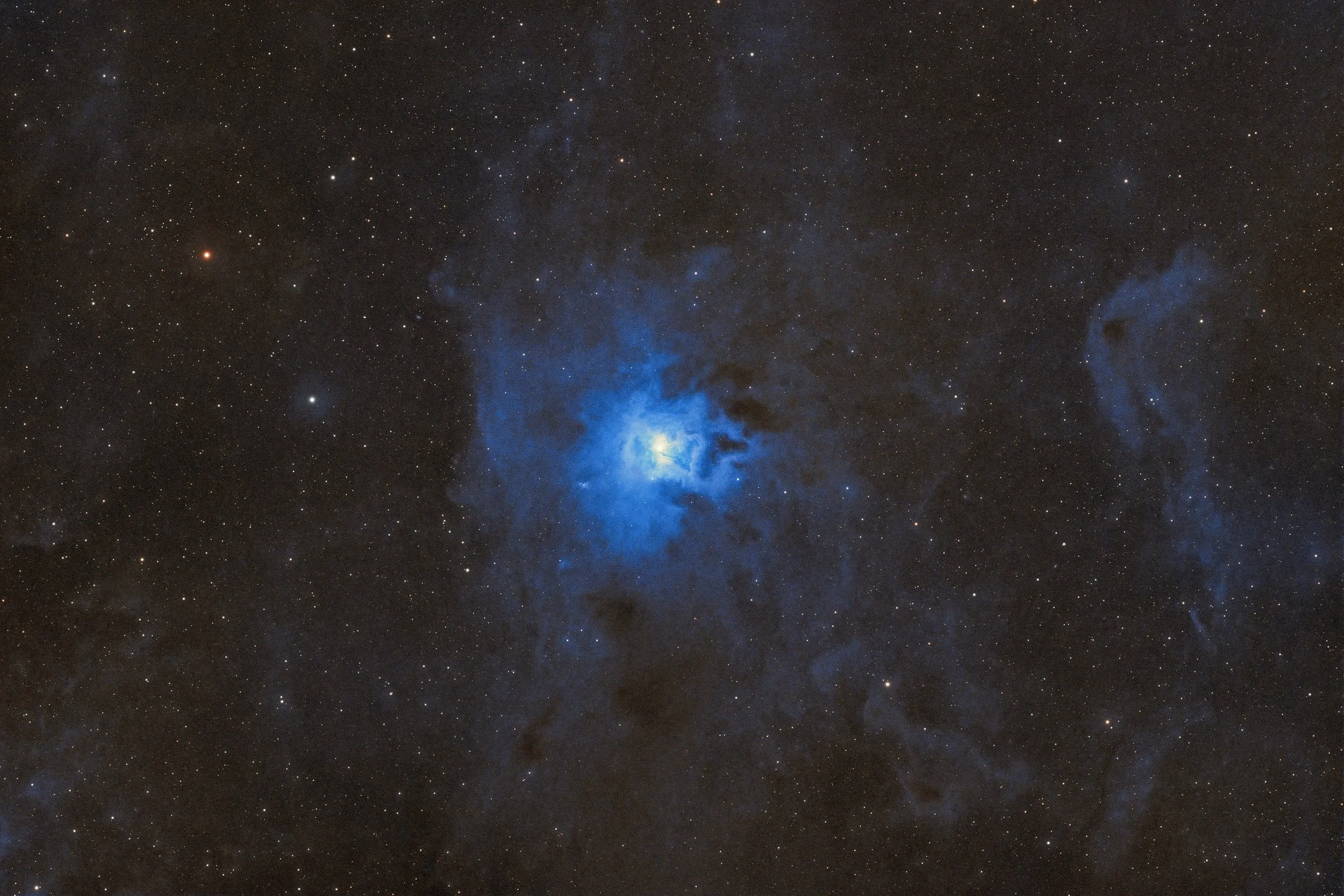 Iris Nebula (NGC 7023) 