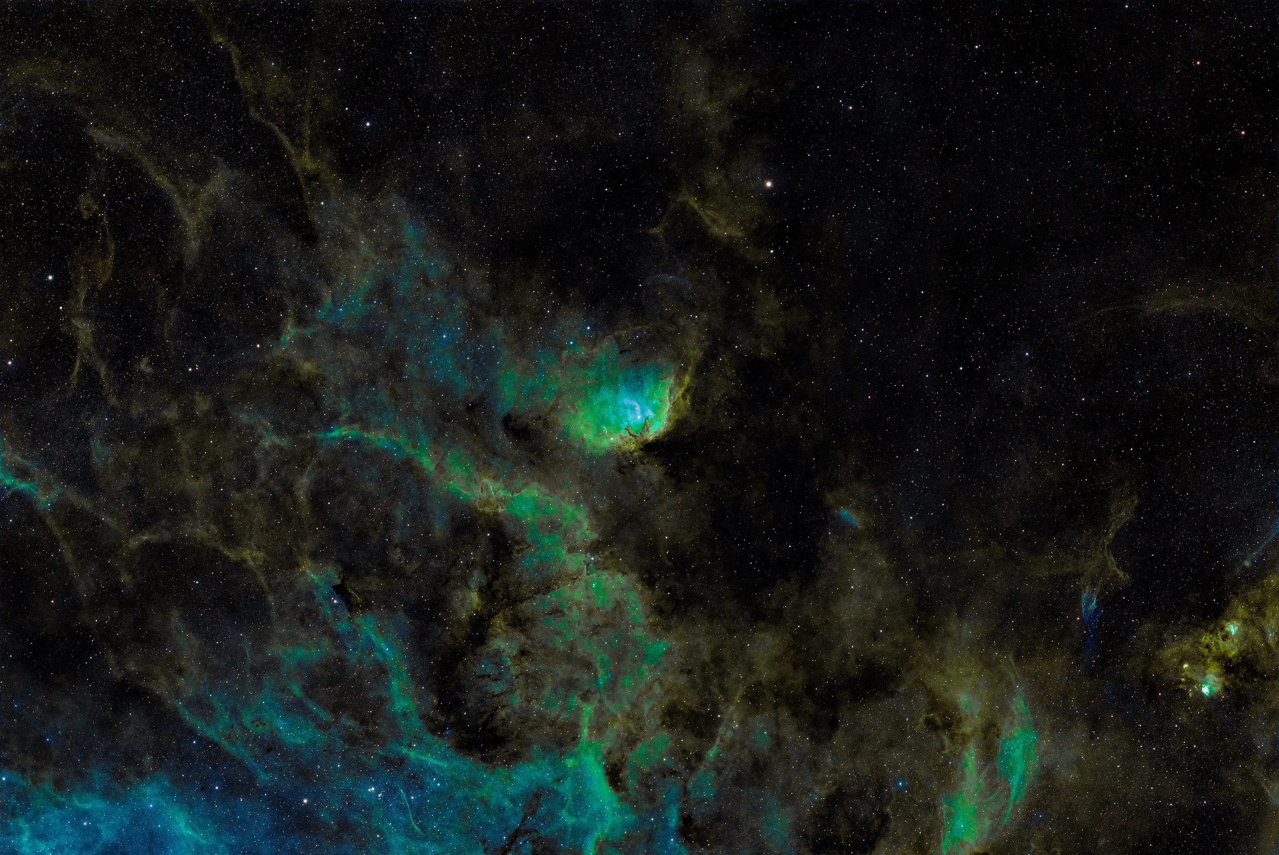 Tulip Nebula (Sh2-101)