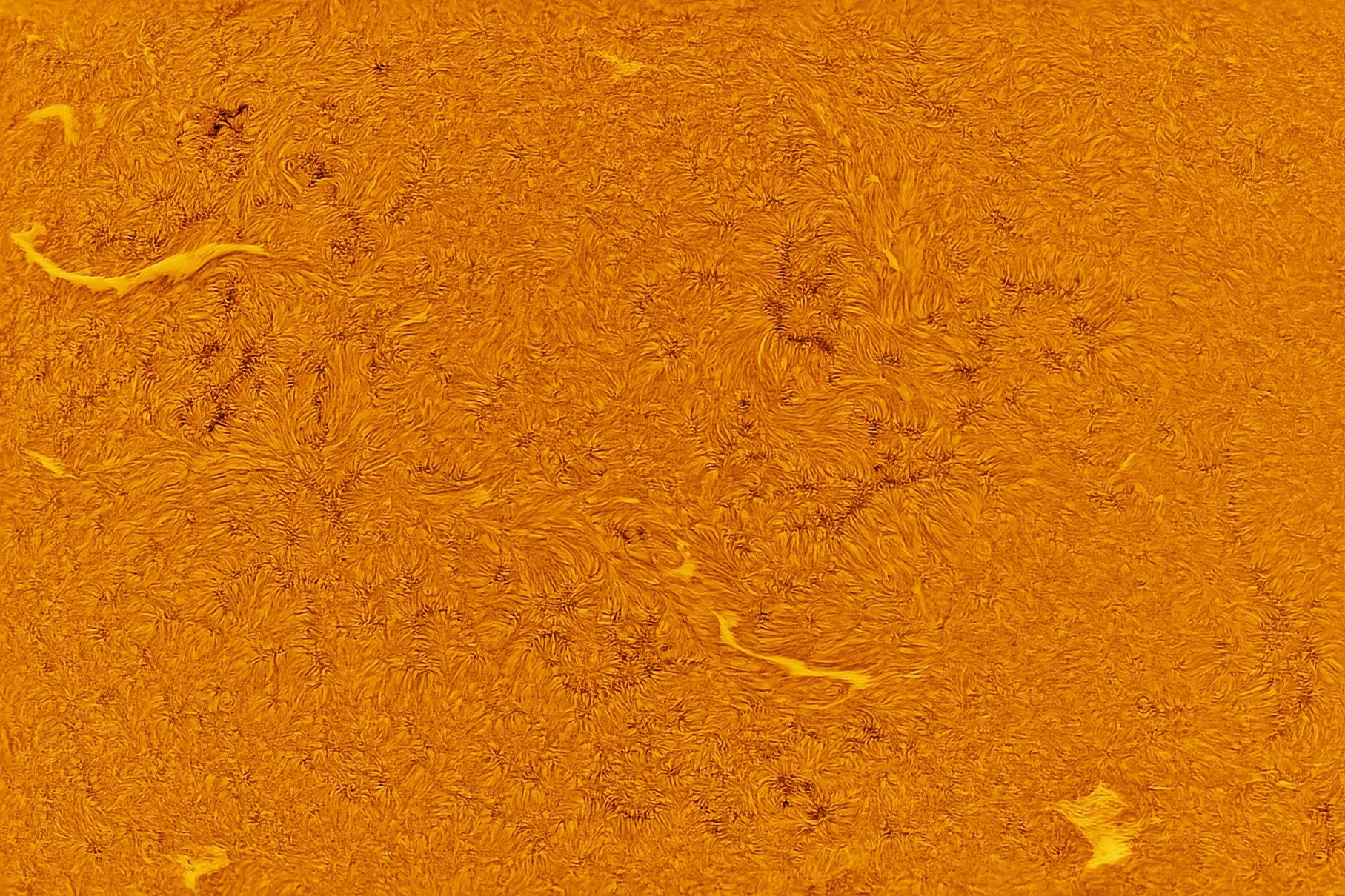 The Sun (our closet star)
