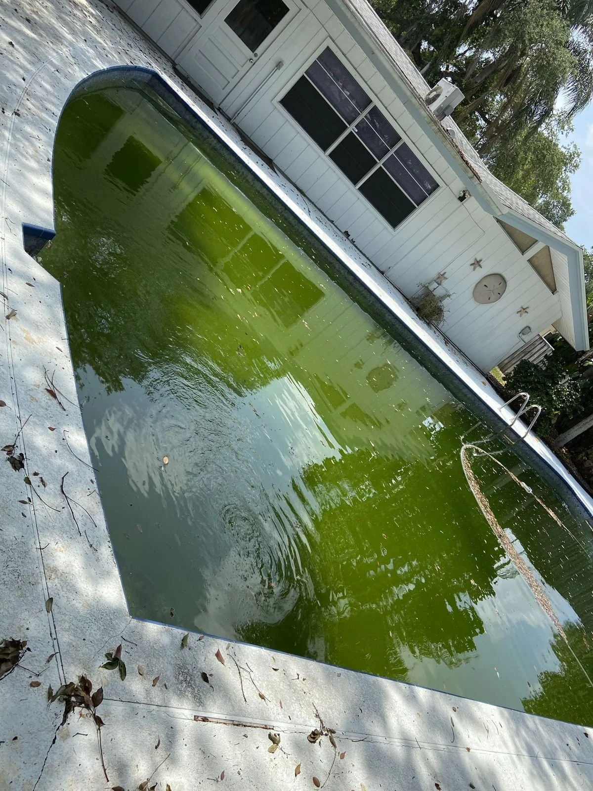 The Real Cost of Neglecting Your Pool in the Off Season