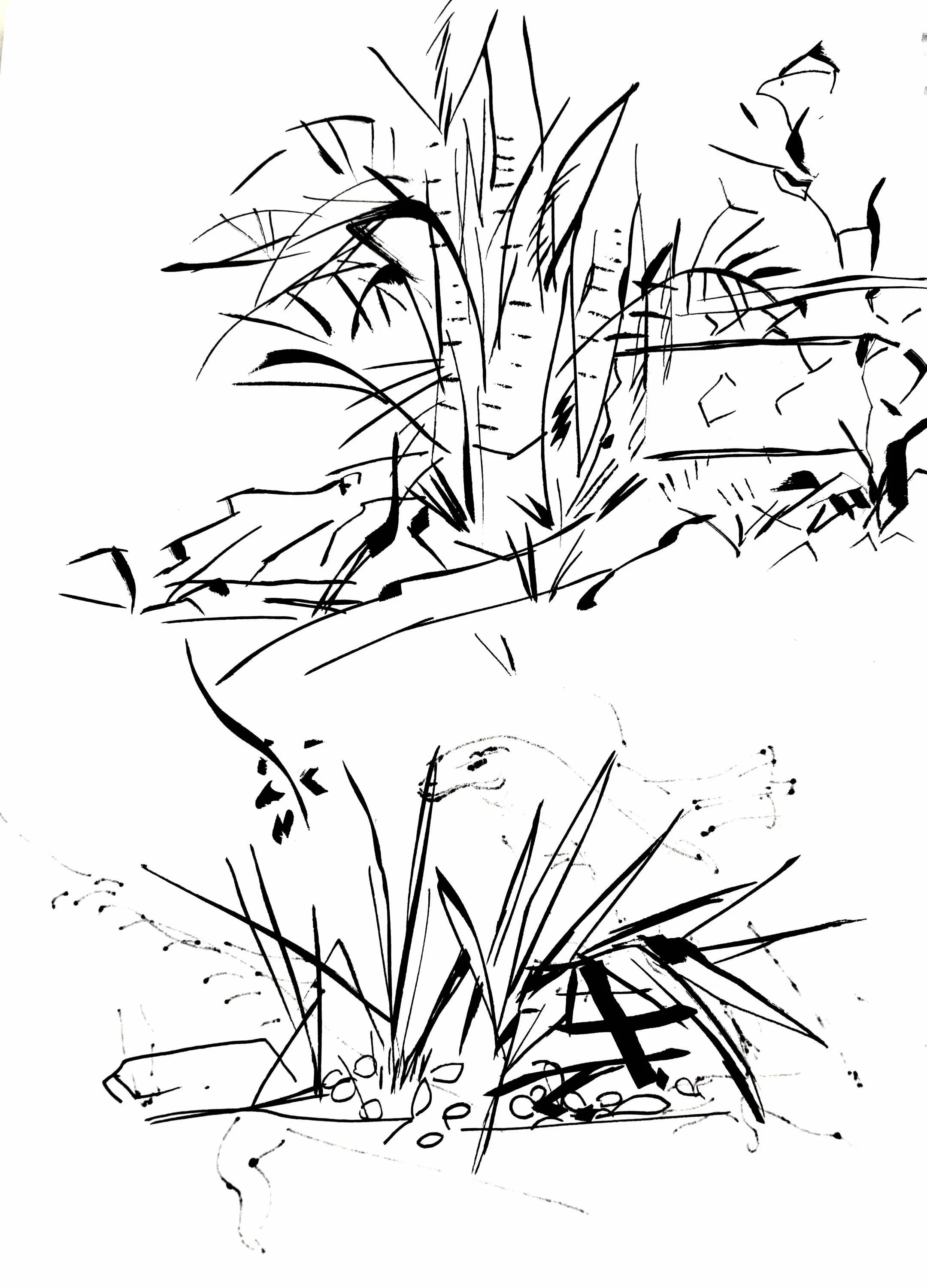 leavesdrawings2.png