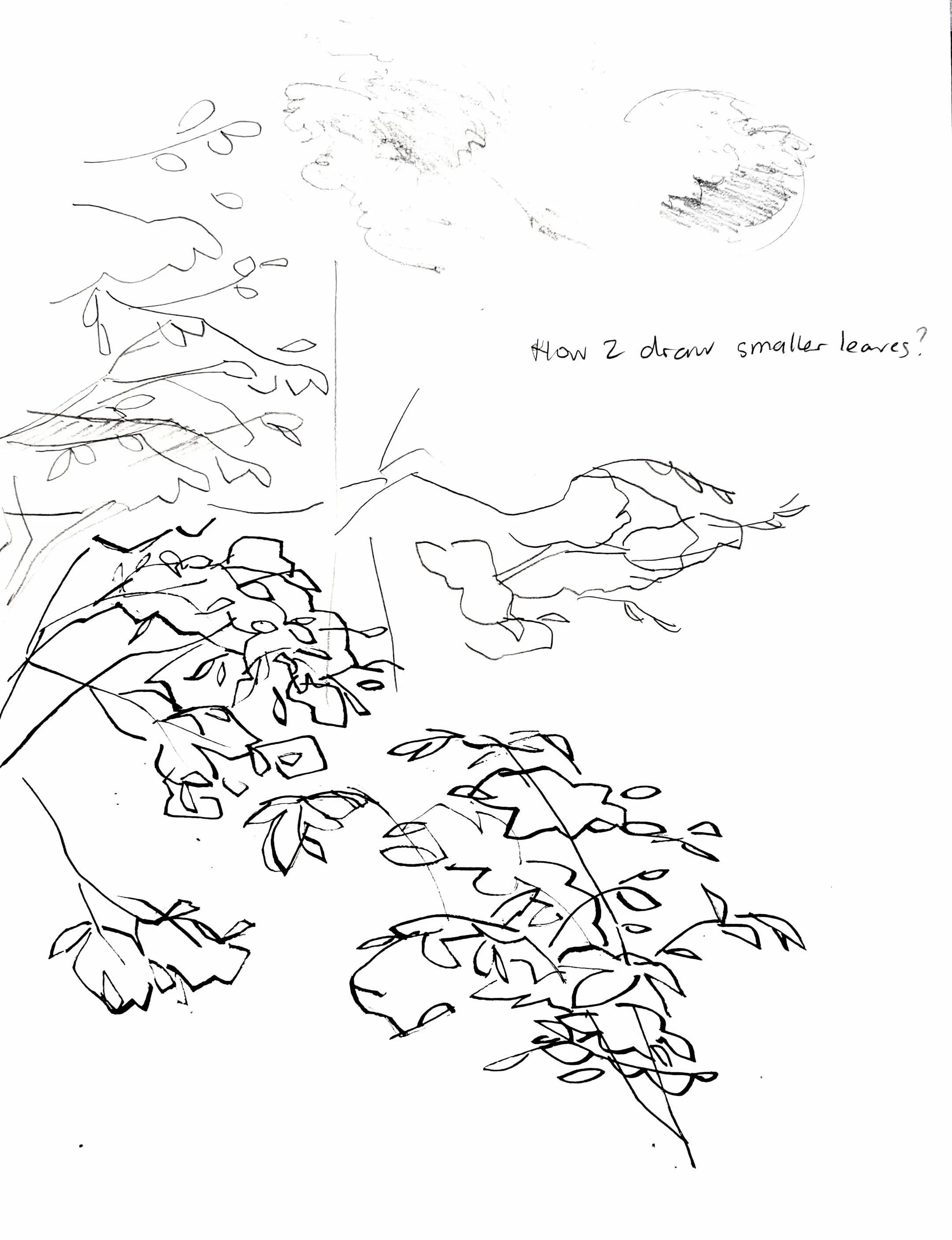 leavesdrawings.png