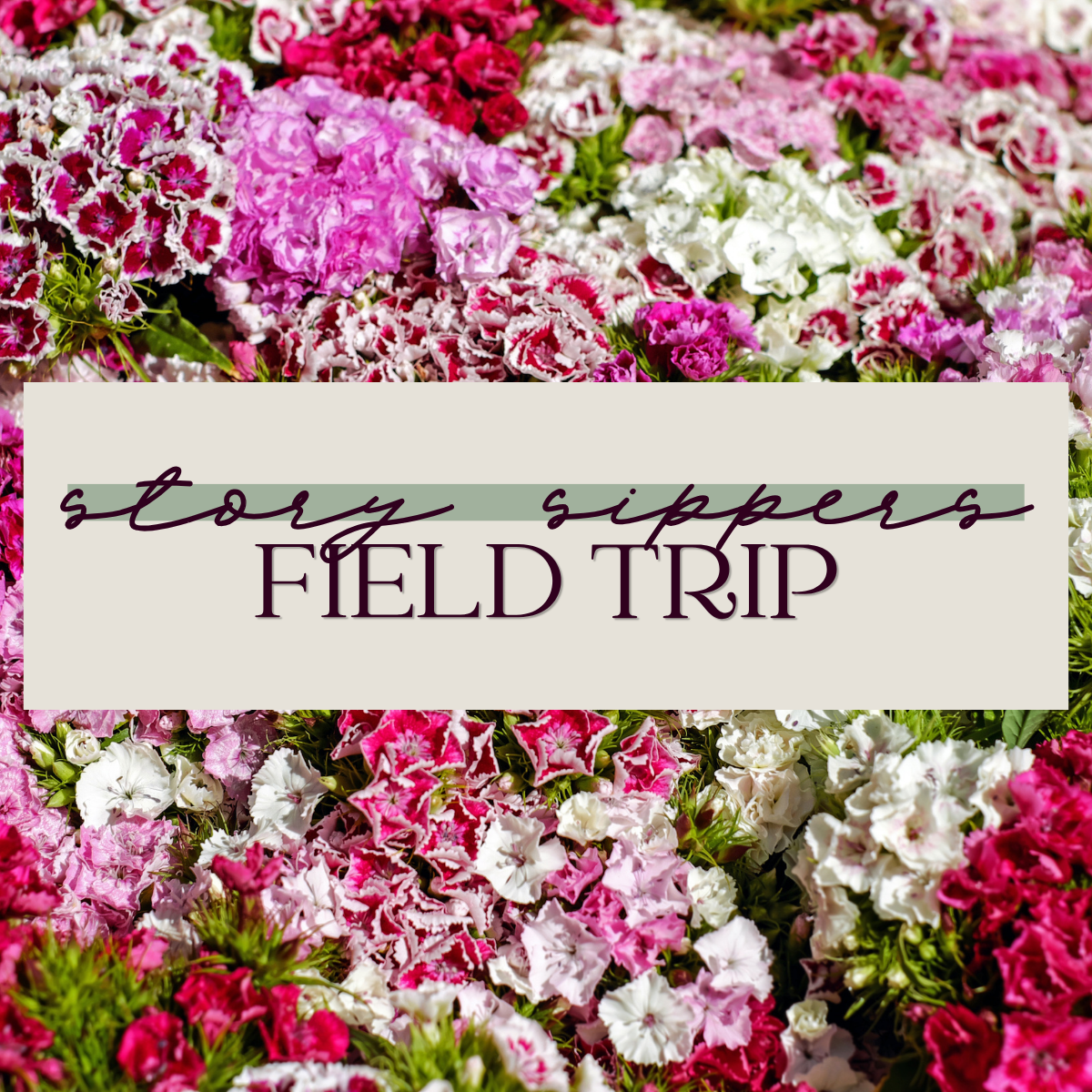 Story Sippers meet up during books &amp; blooms market