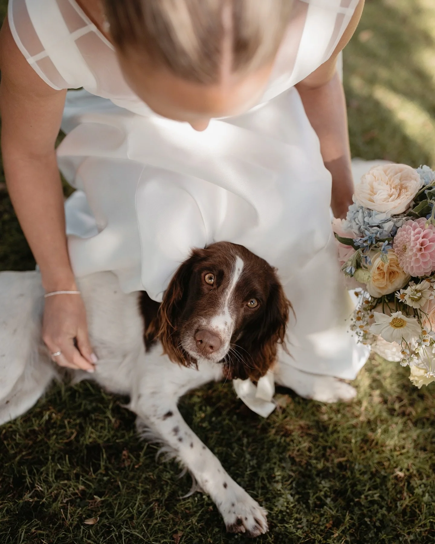 A day of timeless vows and treasured moments, made complete by the presence of your faithful companion. Forever part of your story 🕊🐾 @amour.weddings_ 📸