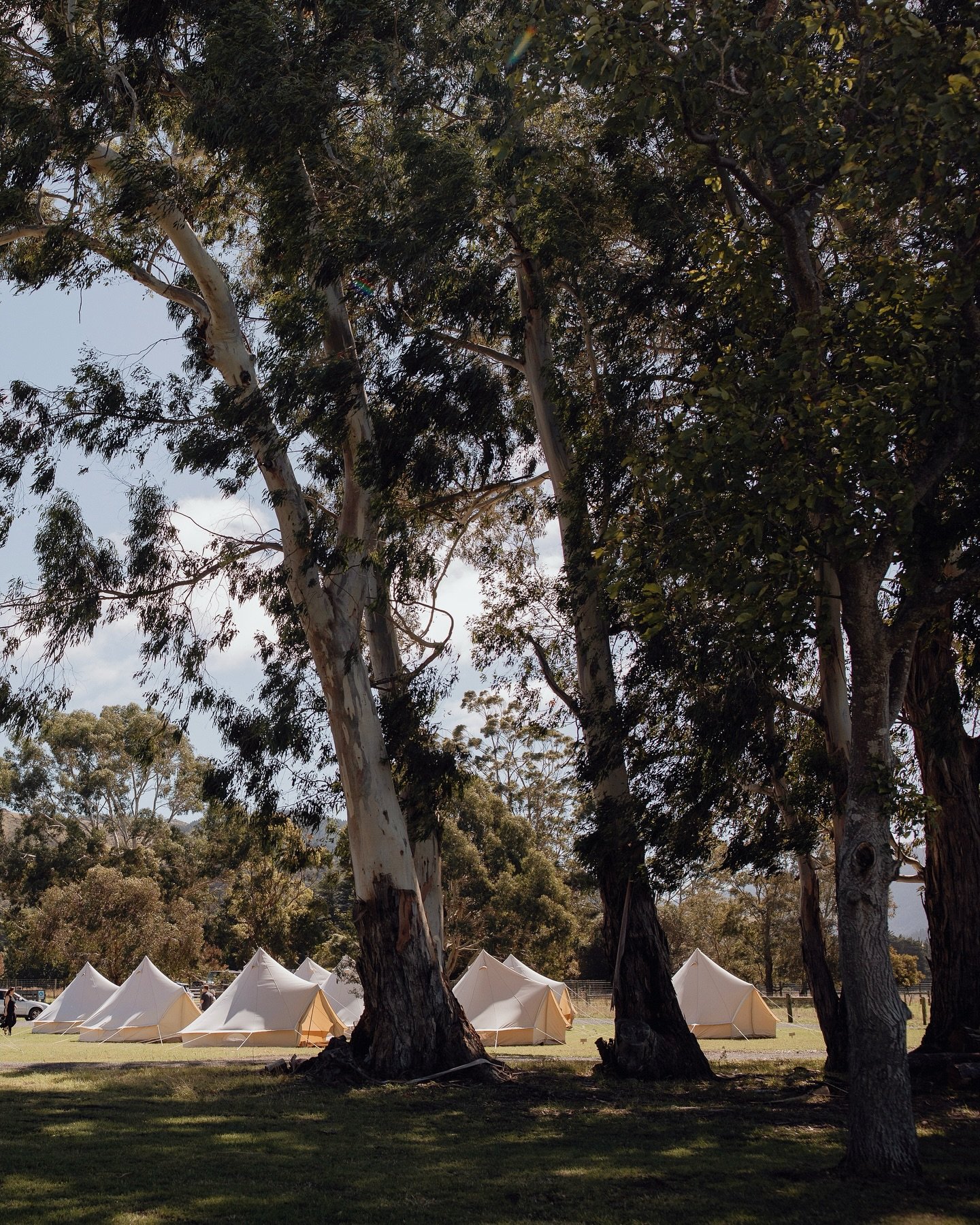 Nestled among well-established gardens and timeless architecture, our estate offers multiple on-site lodgings so your guests can linger in the beauty of every moment 🍋