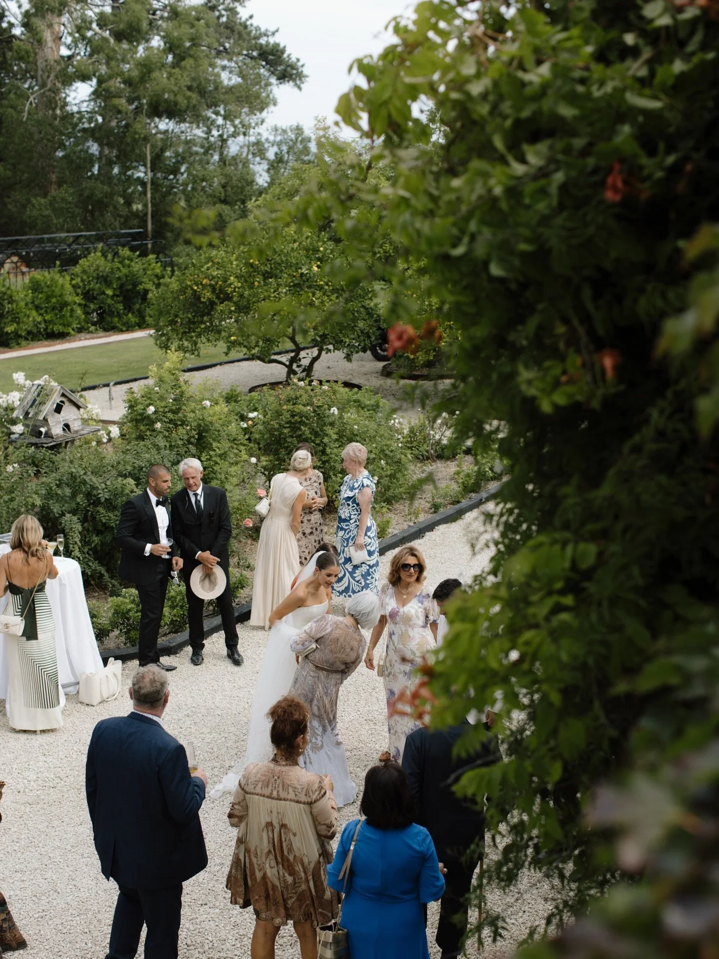 A place full of romance 🪉