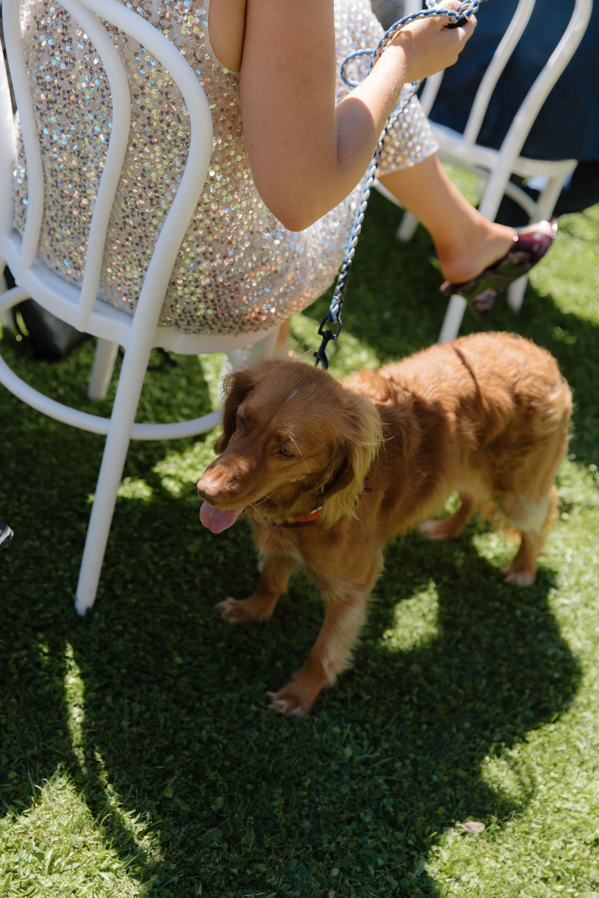 MegElizabethStudio_Alexia&Max-256.jpg