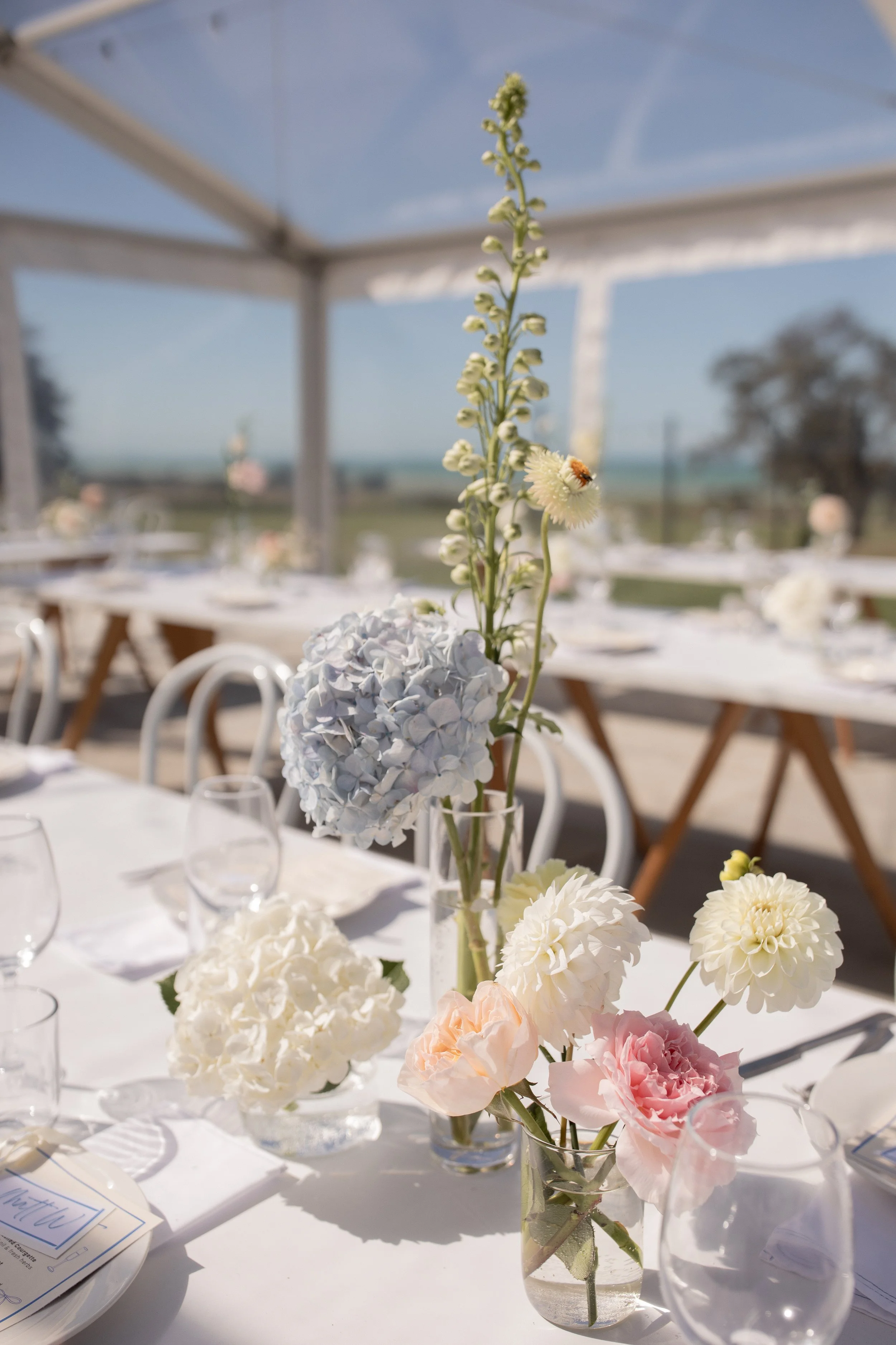 H&Z - Wedding-259.jpg